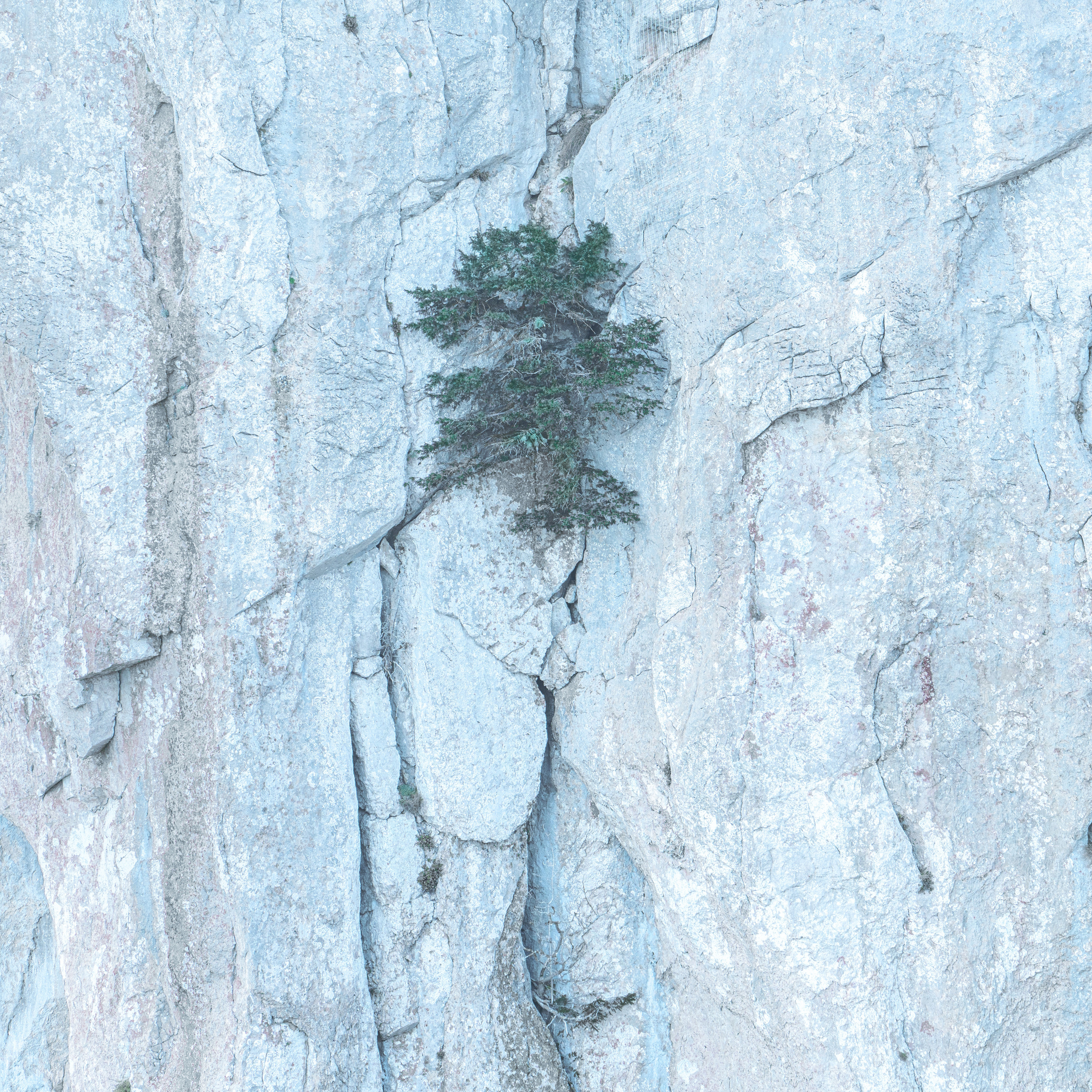 Врубель Роман