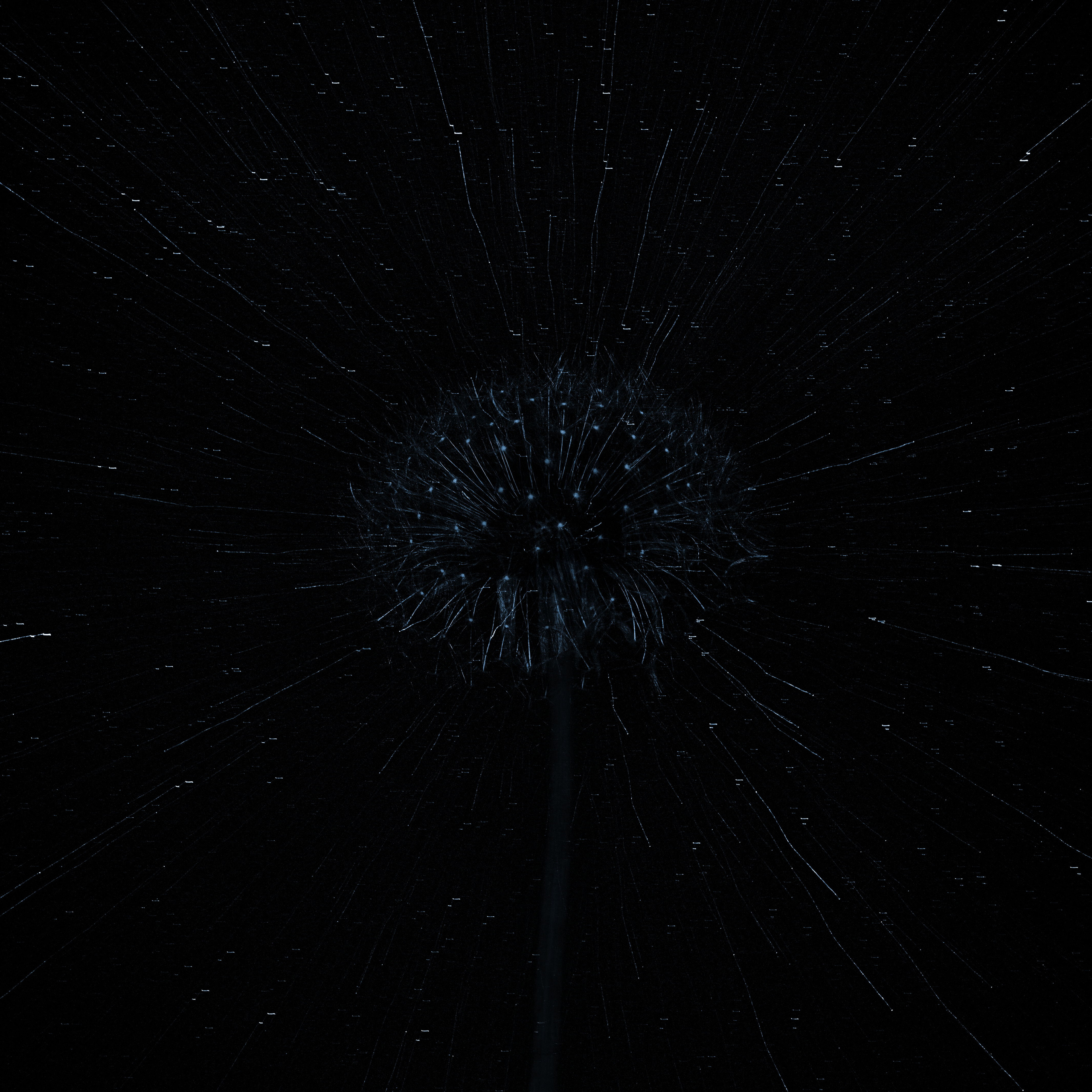 Одиночные работы. Врубель Роман