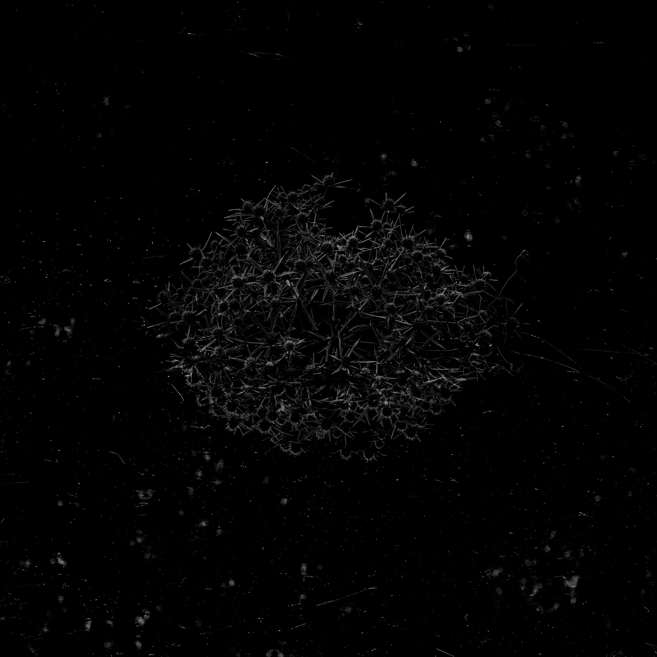 Потухший очаг. Врубель Роман