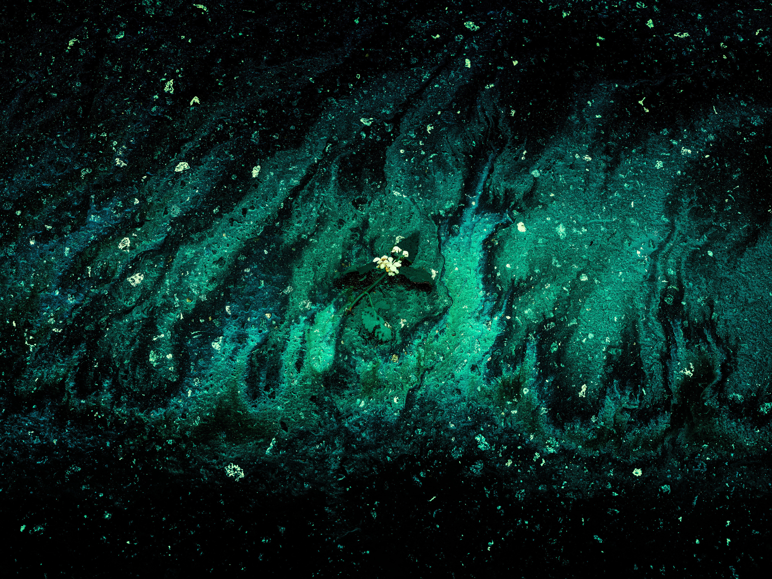 Одиночные работы. Врубель Роман