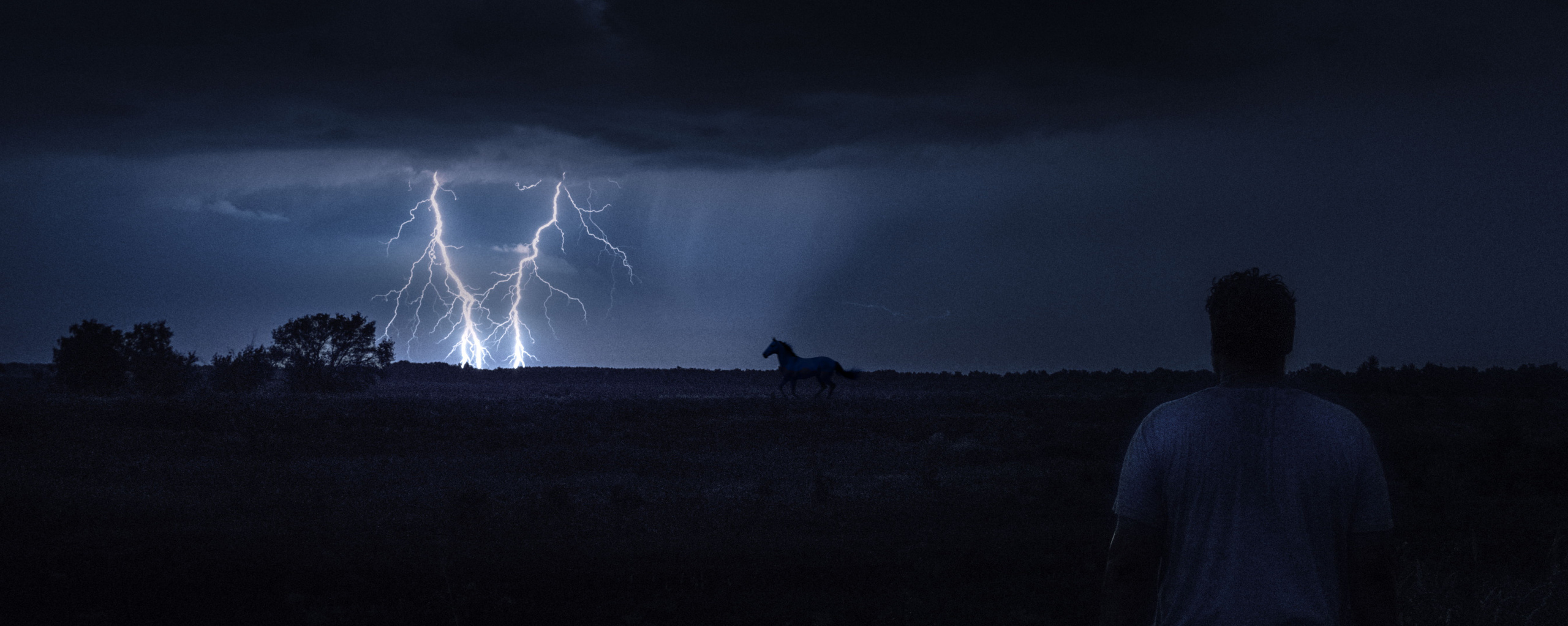 Одиночные работы. Врубель Роман