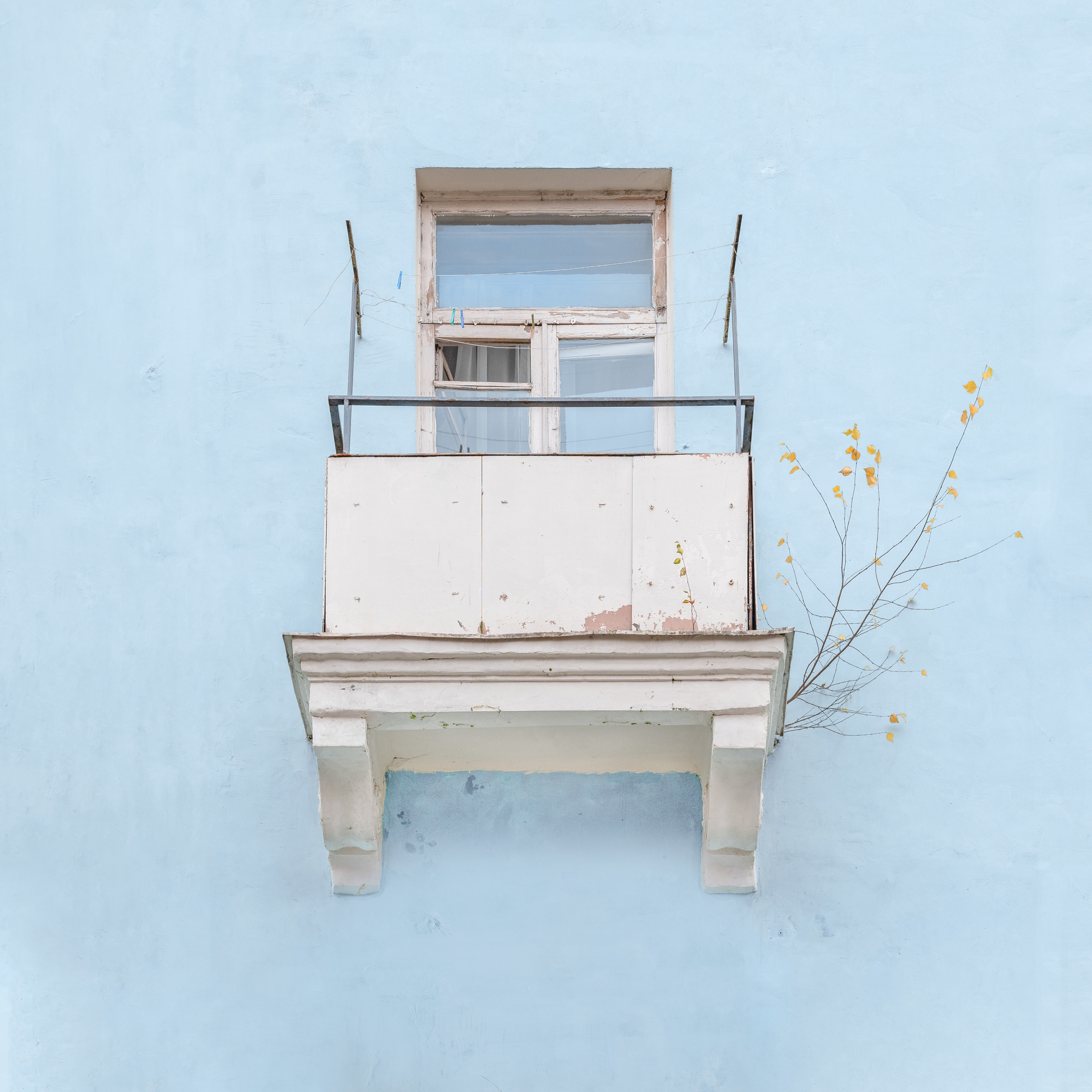 Врубель Роман