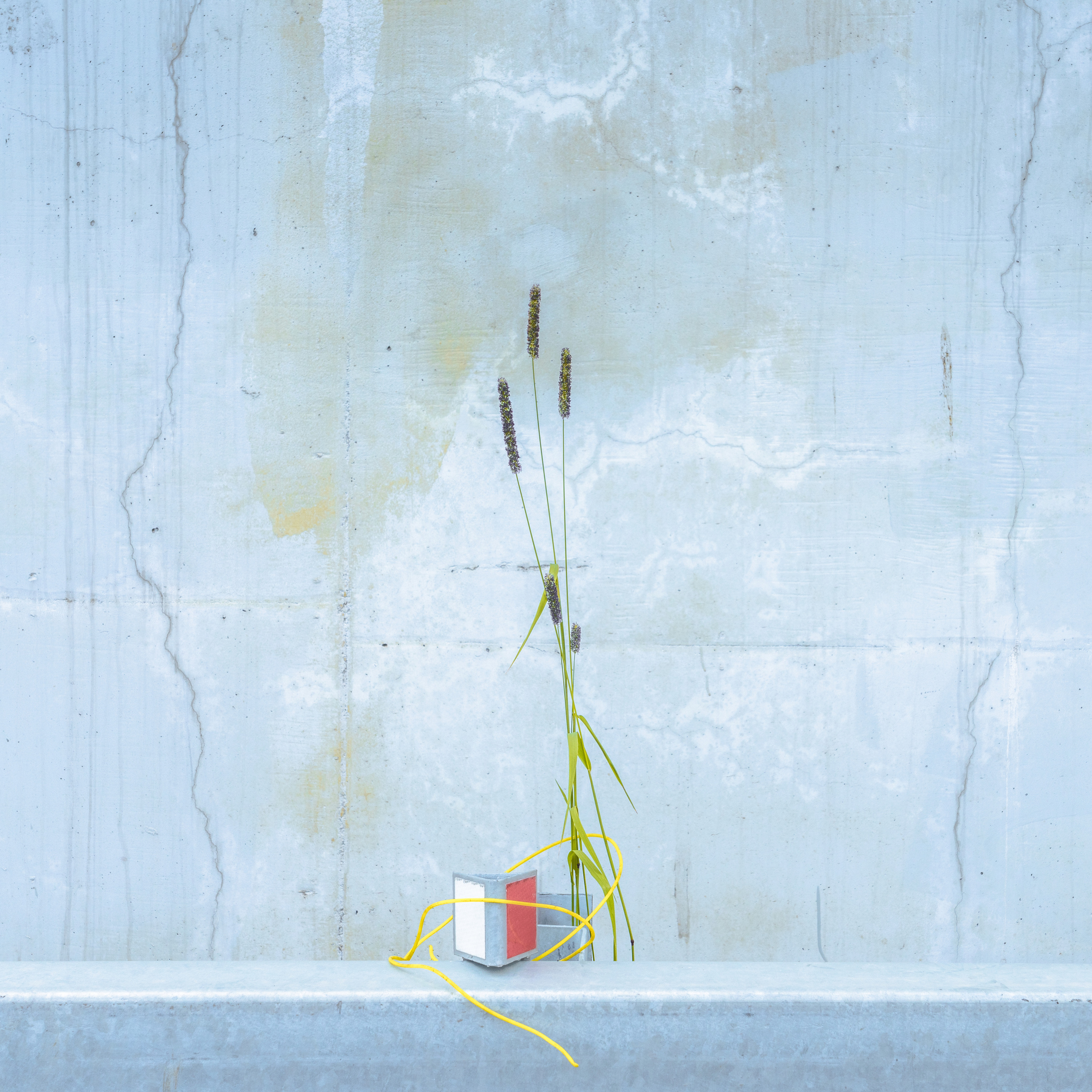 Врубель Роман