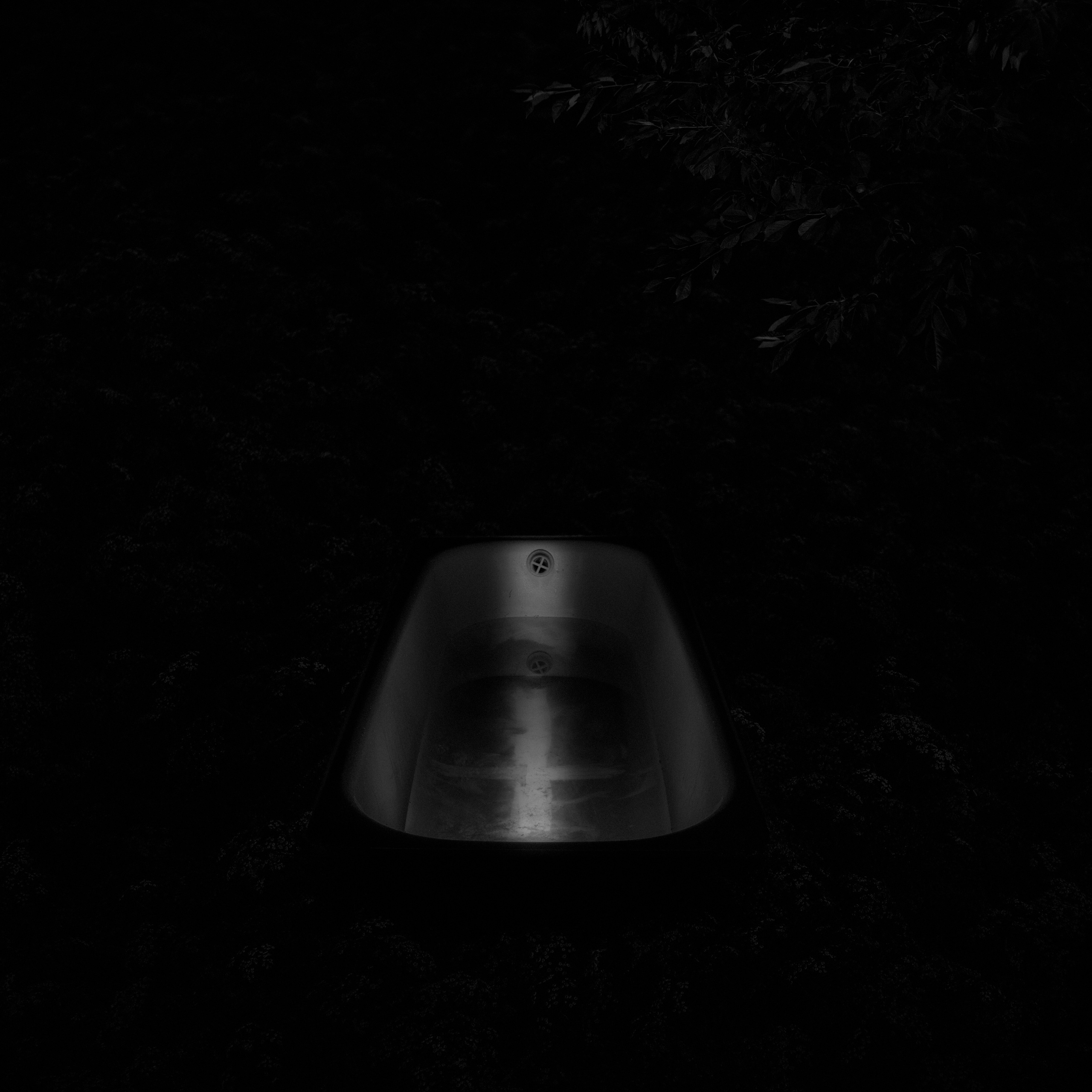 Потухший очаг. Врубель Роман