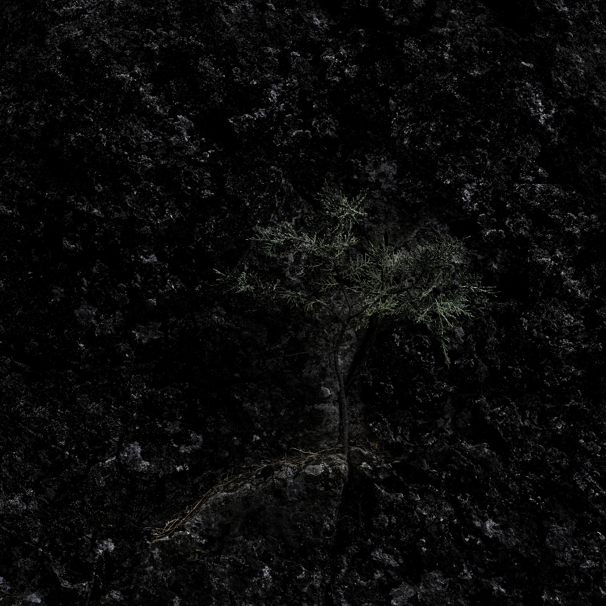 Одиночные работы. Врубель Роман