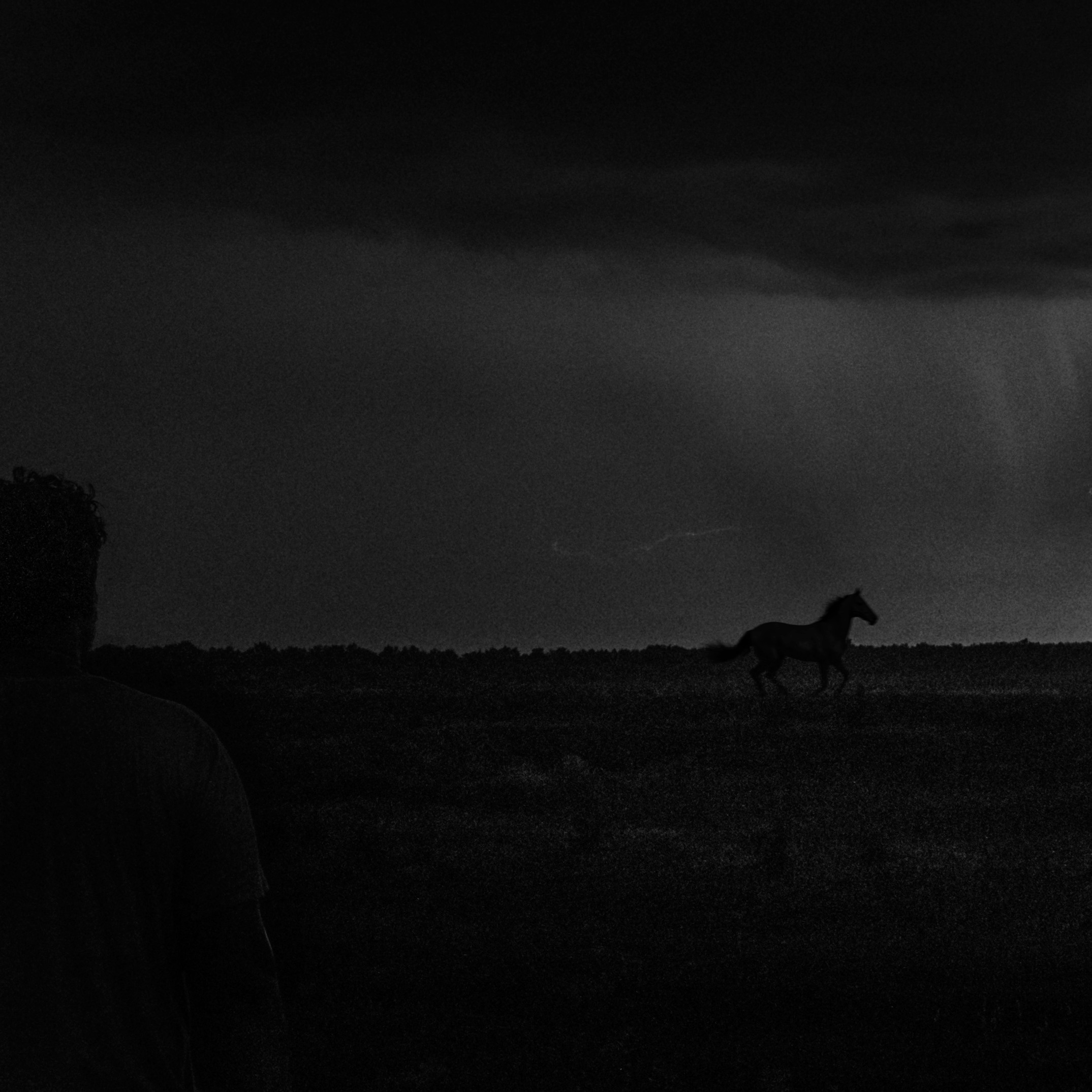 Потухший очаг. Врубель Роман