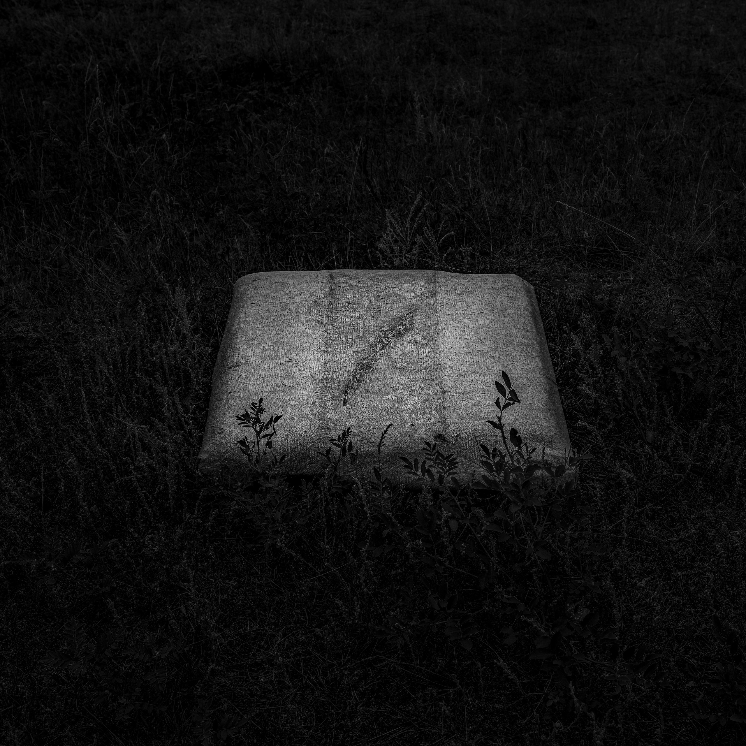 Потухший очаг. Врубель Роман