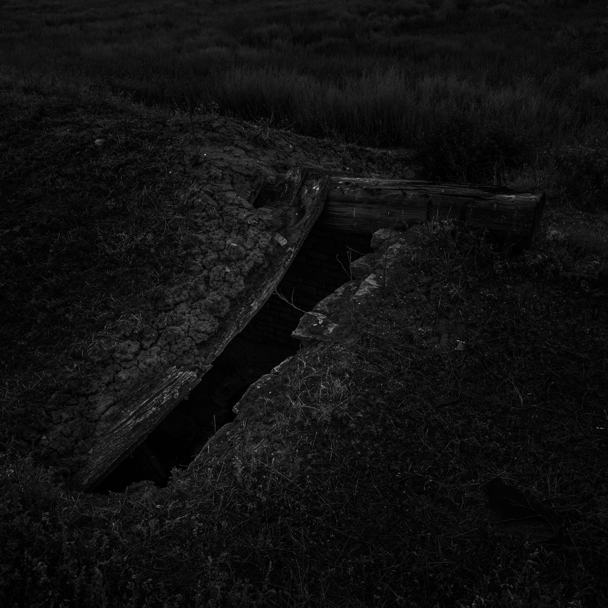 Потухший очаг. Врубель Роман