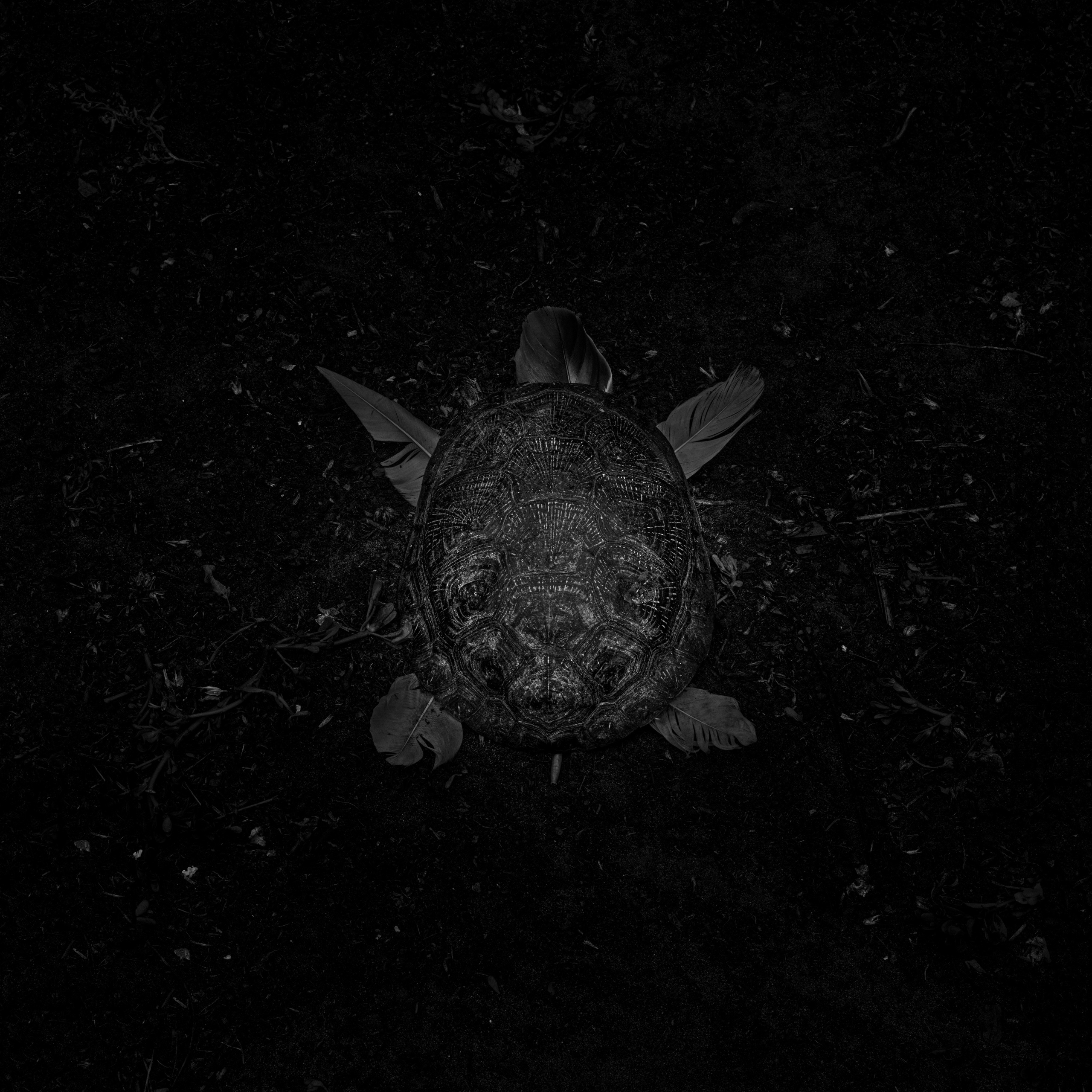 Потухший очаг. Врубель Роман