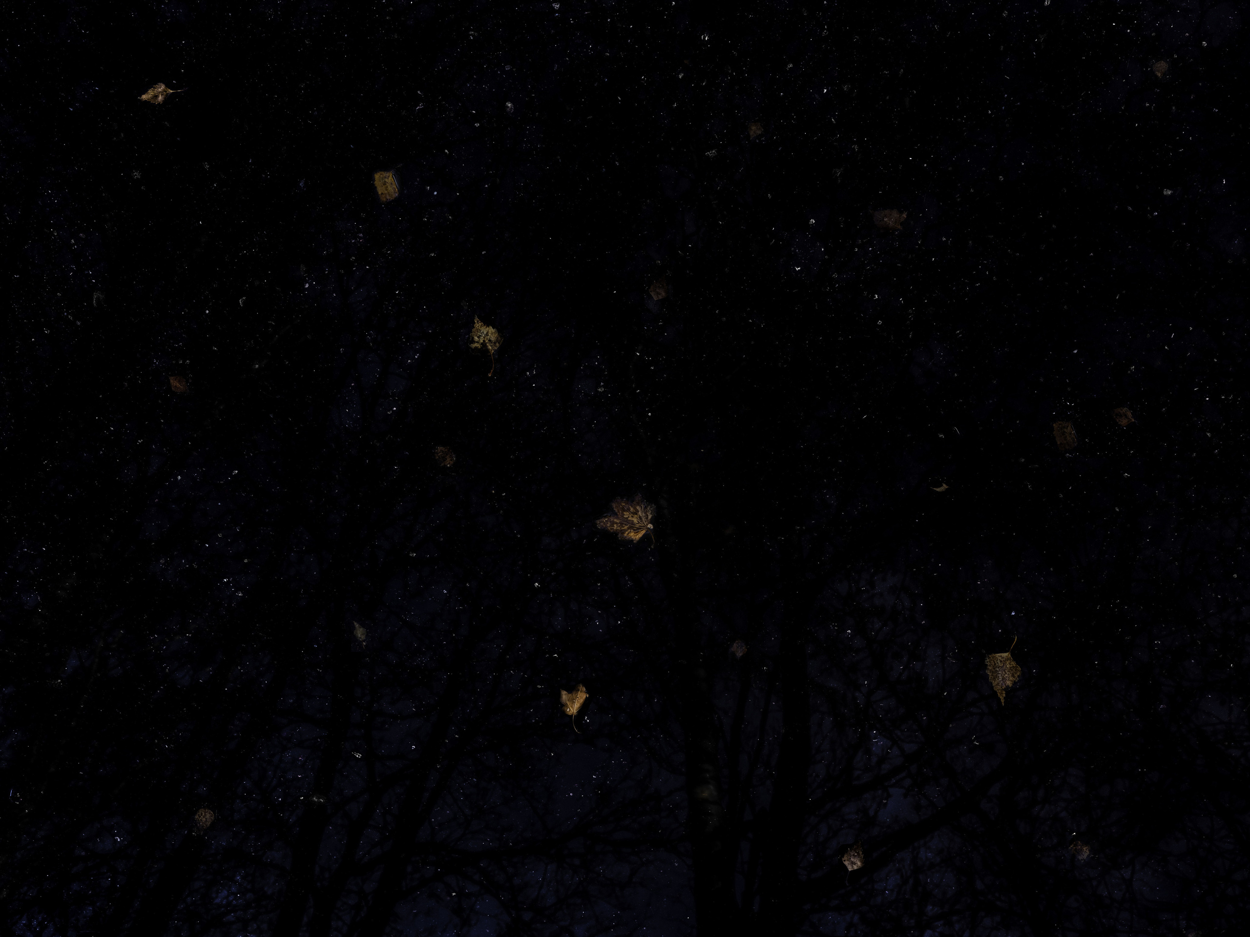 Одиночные работы. Врубель Роман