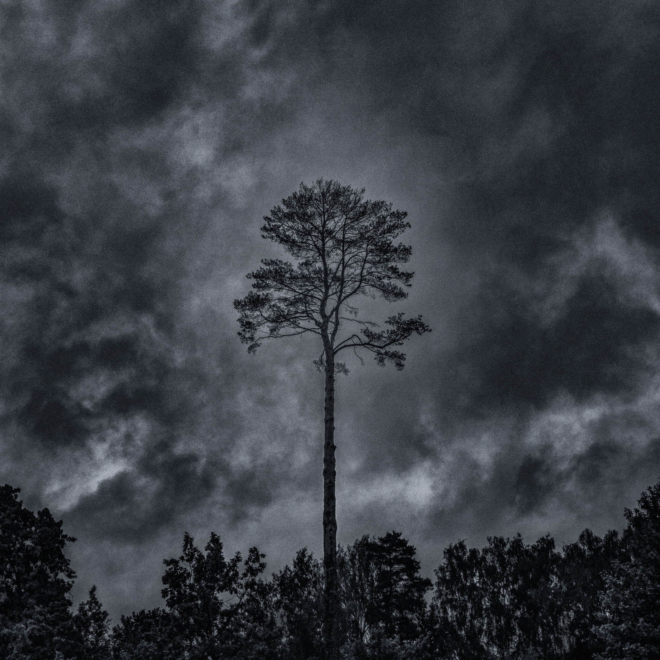 Одиночные работы. Врубель Роман