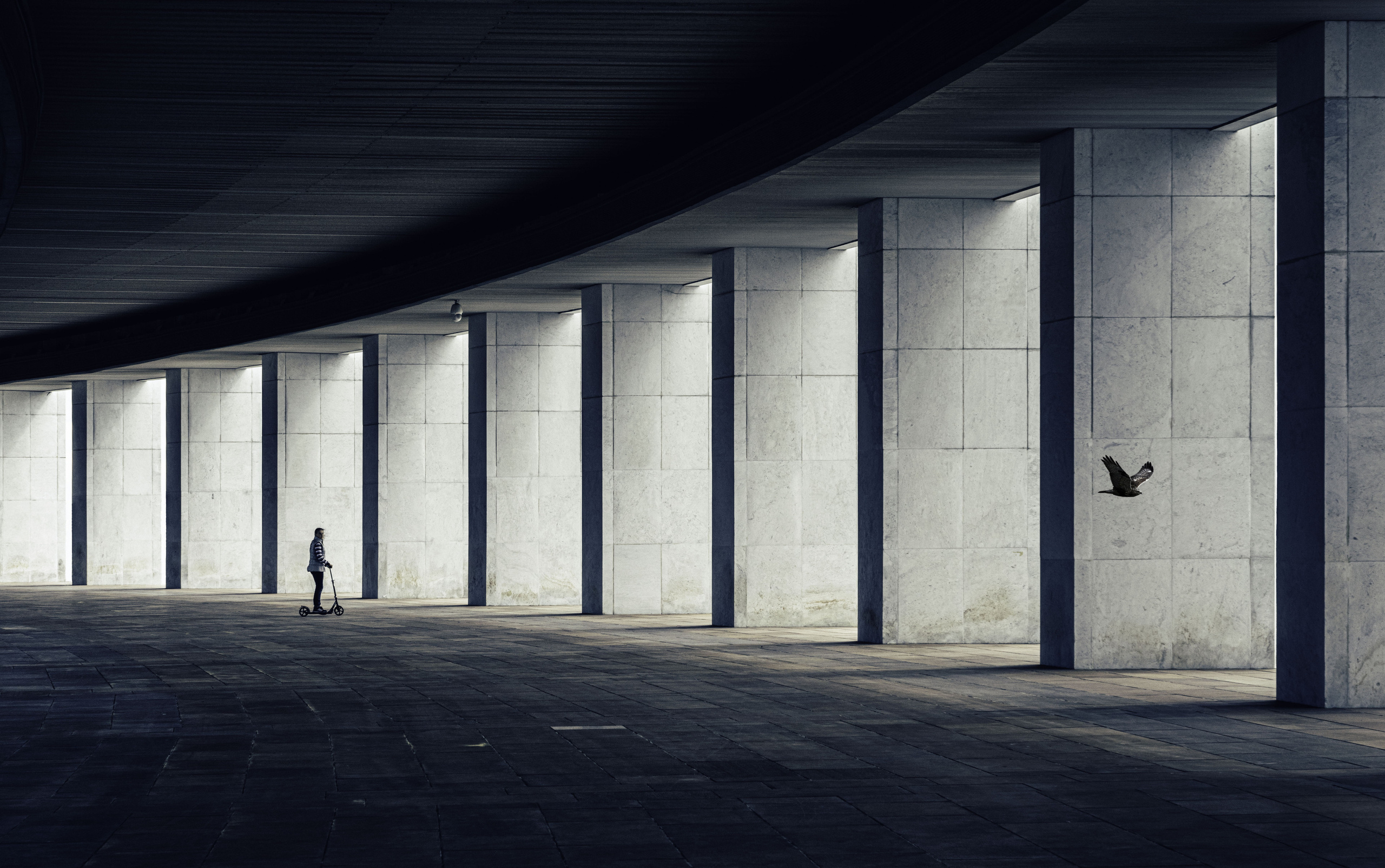 Одиночные работы. Врубель Роман