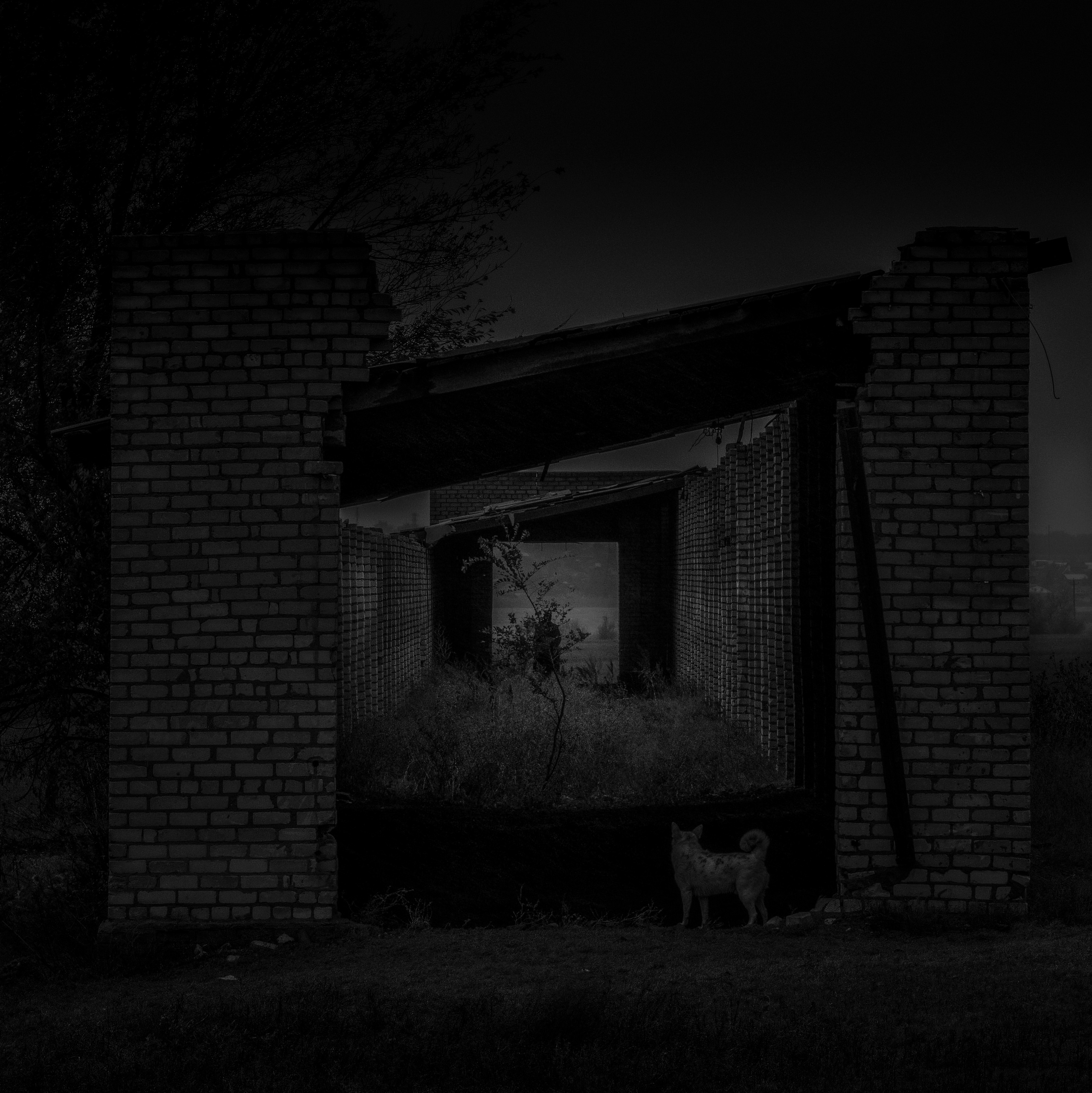 Потухший очаг. Врубель Роман