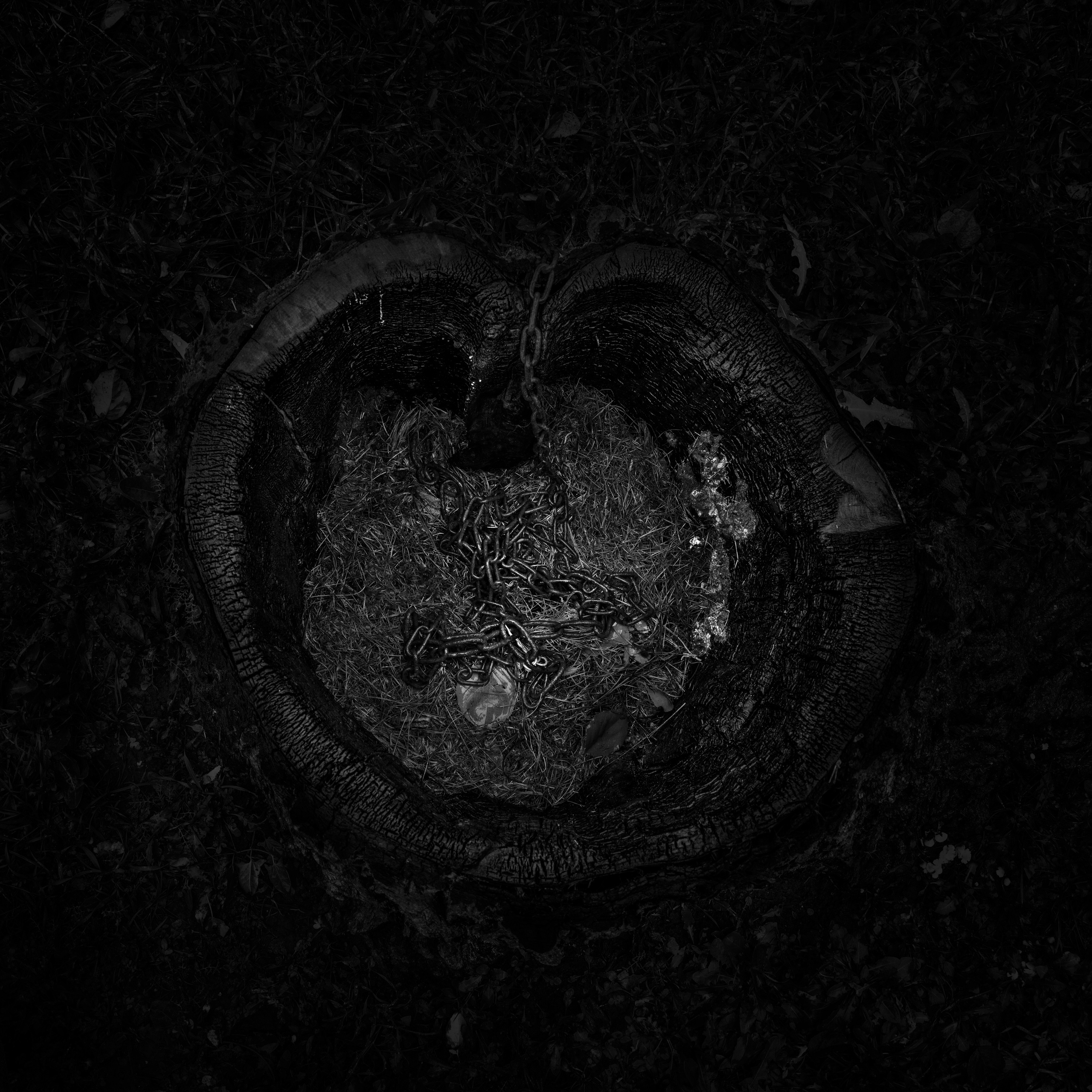 Потухший очаг. Врубель Роман