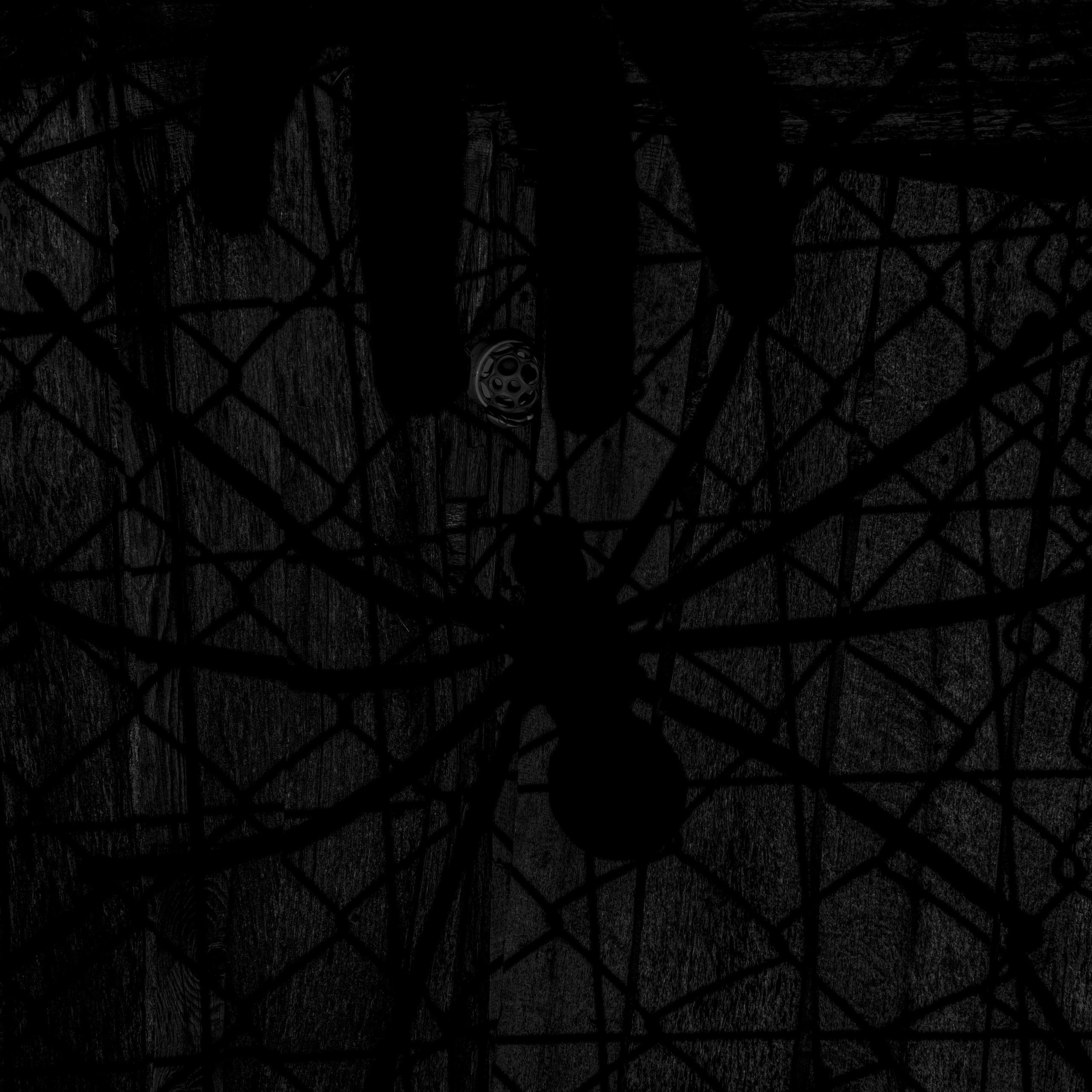 Потухший очаг. Врубель Роман