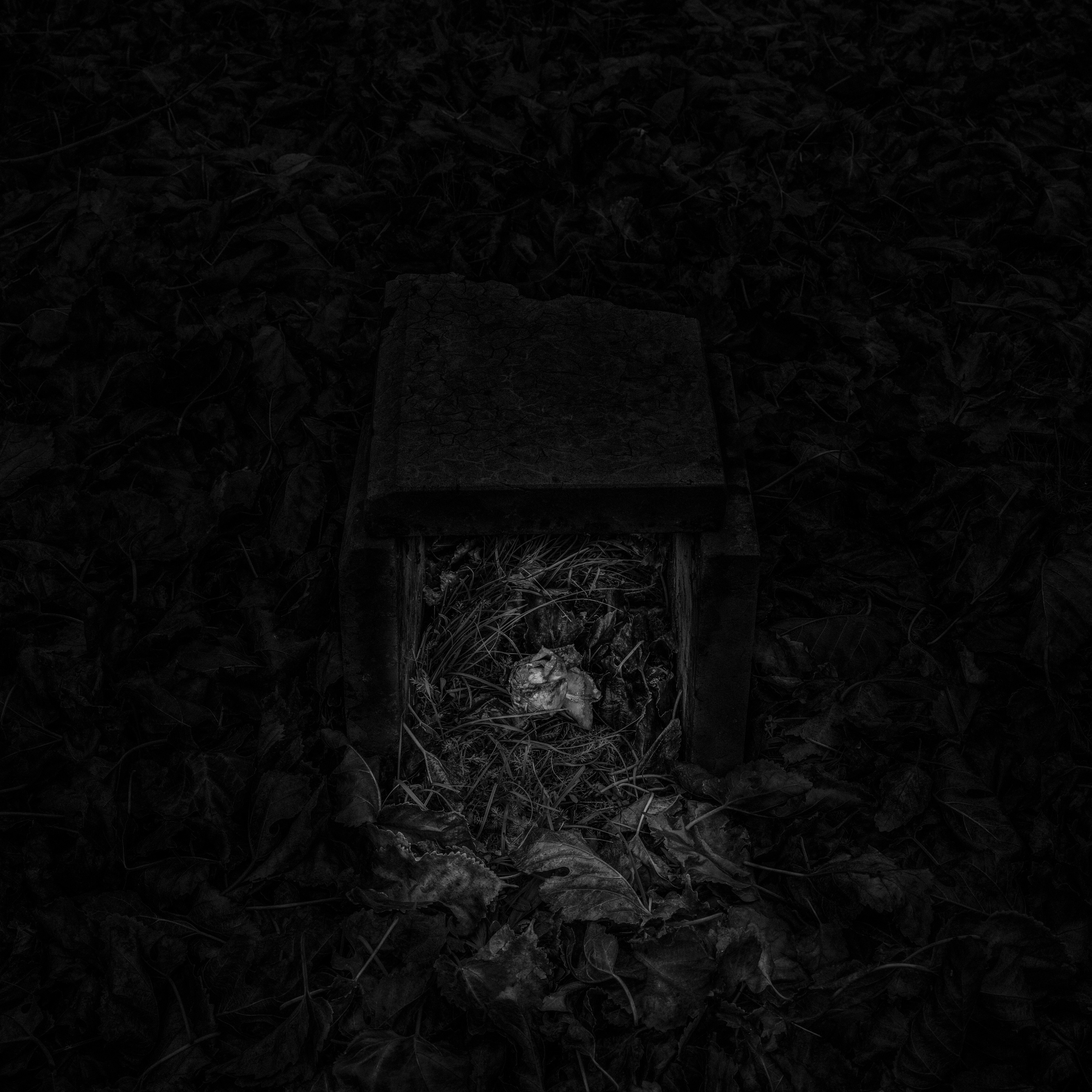 Потухший очаг. Врубель Роман