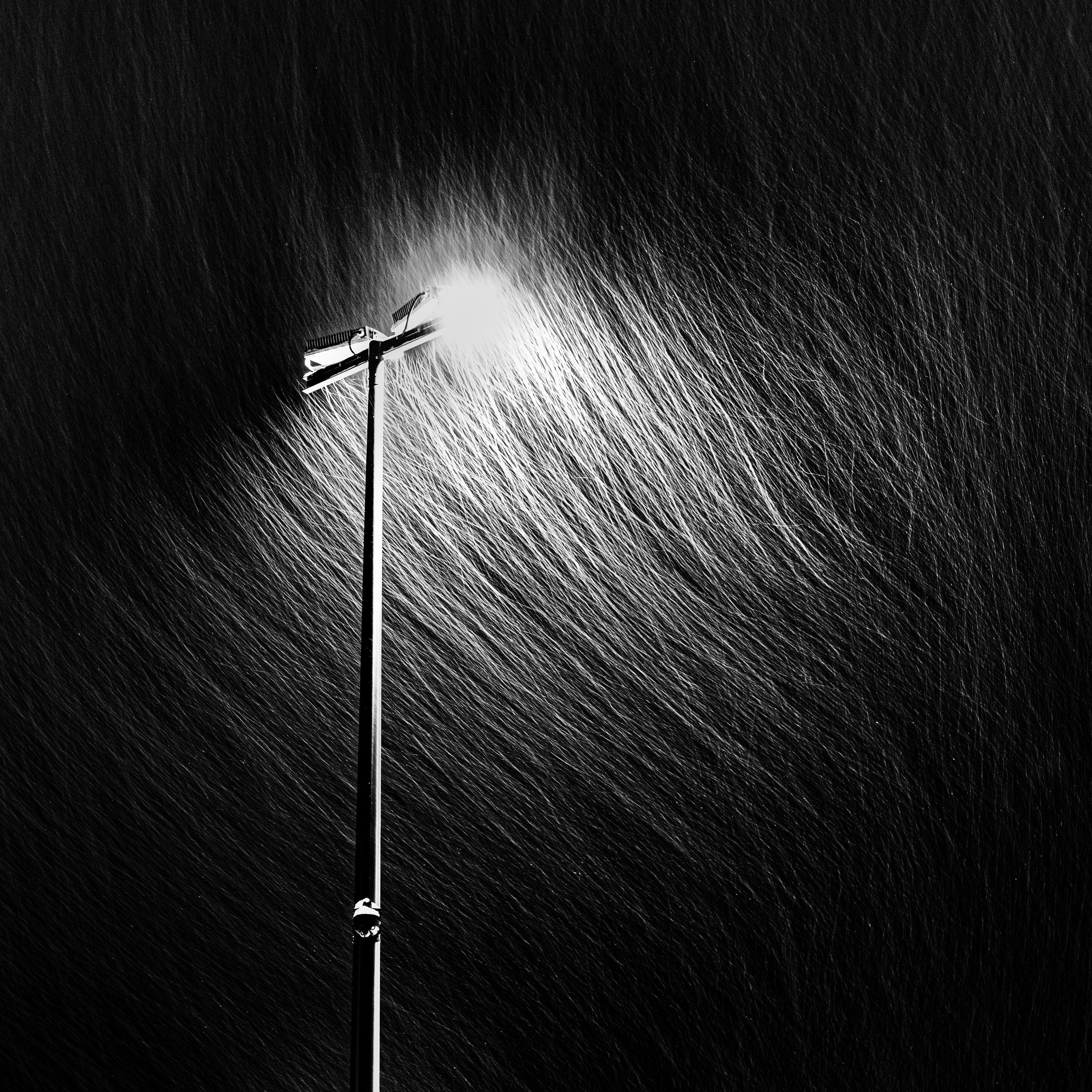 Одиночные работы. Врубель Роман