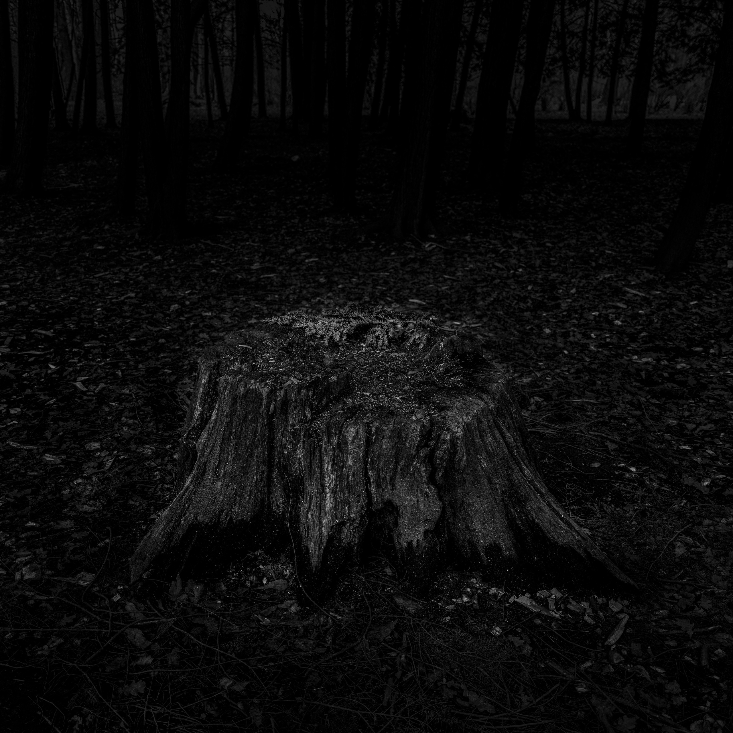 Потухший очаг. Врубель Роман