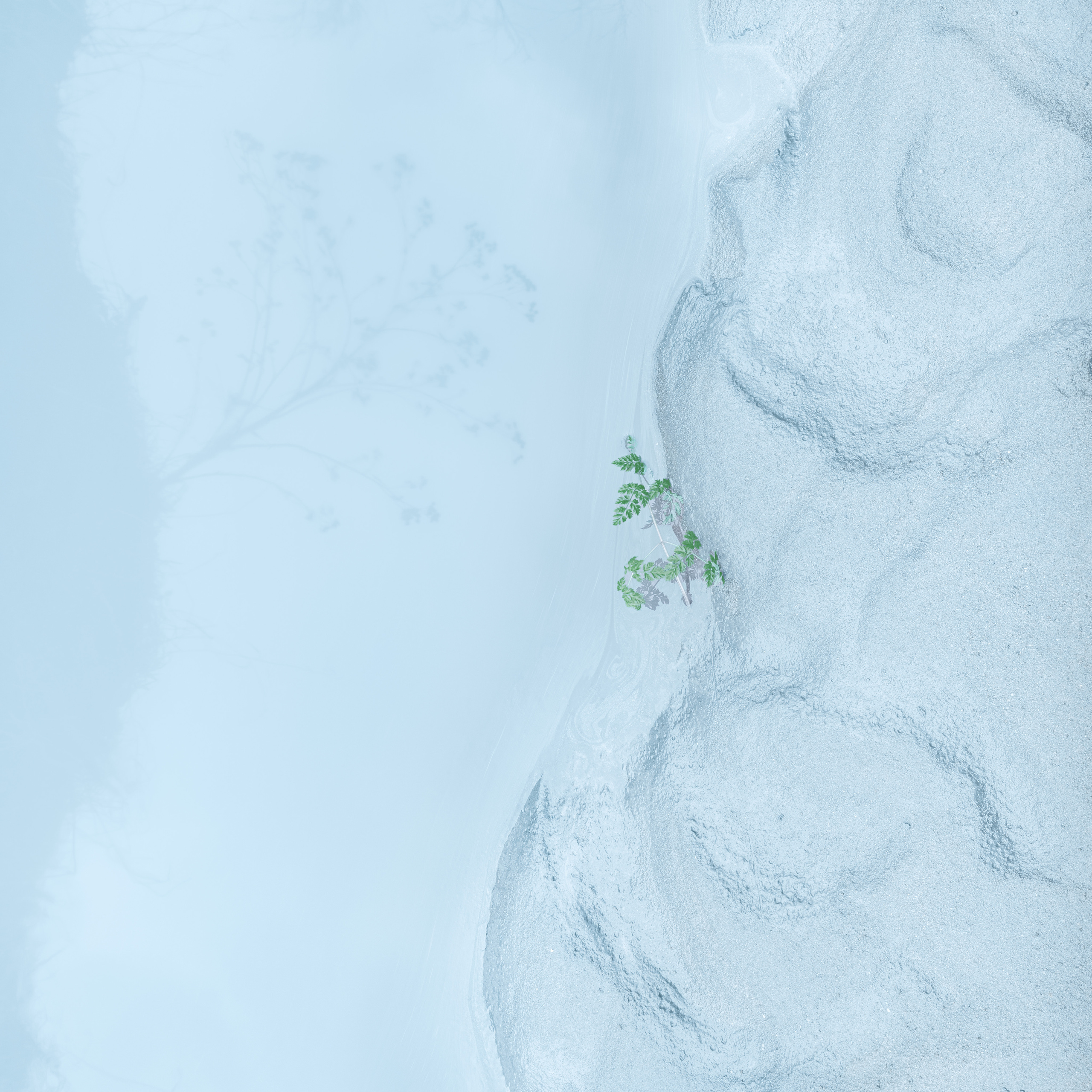 Врубель Роман