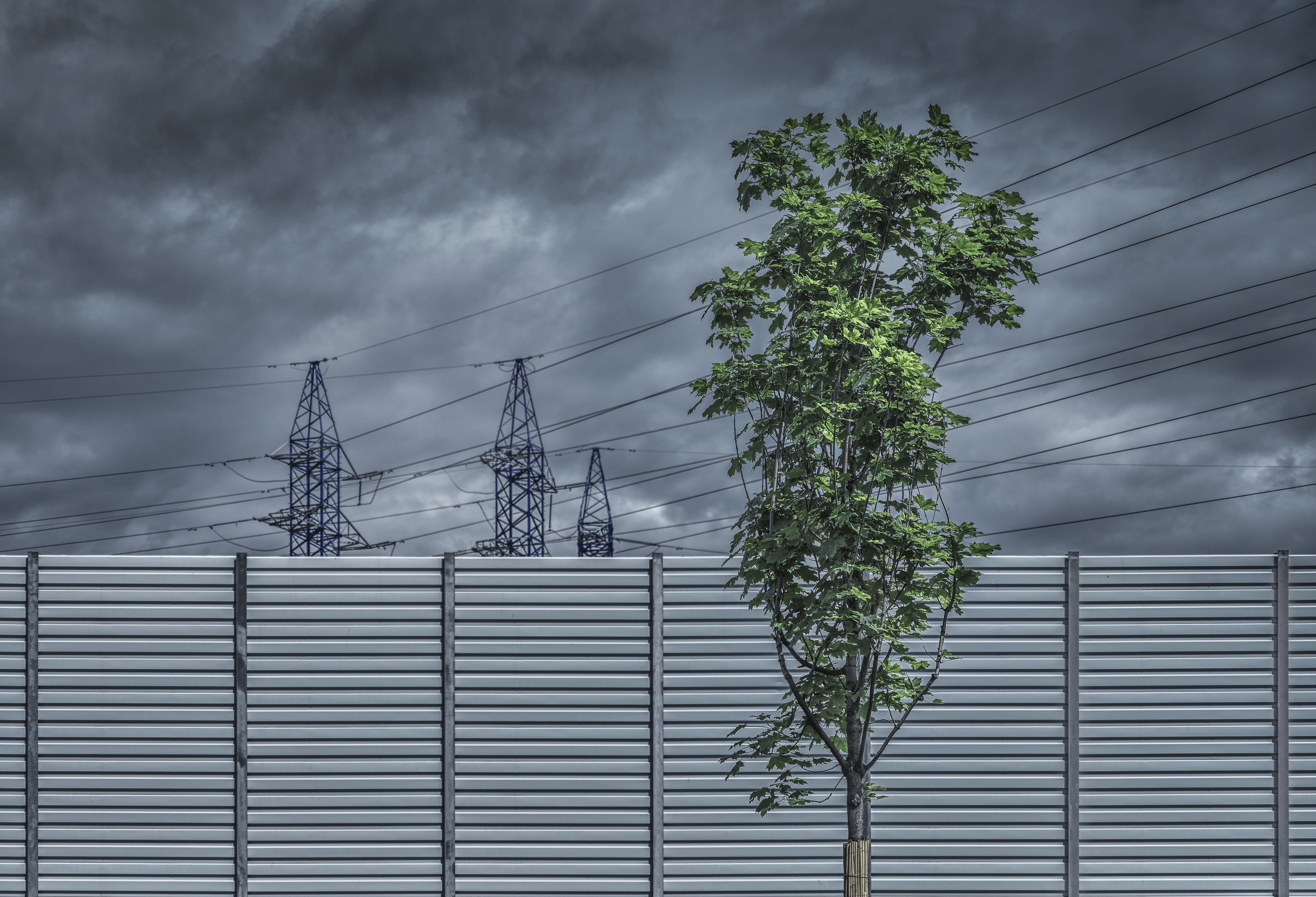 Одиночные работы. Врубель Роман