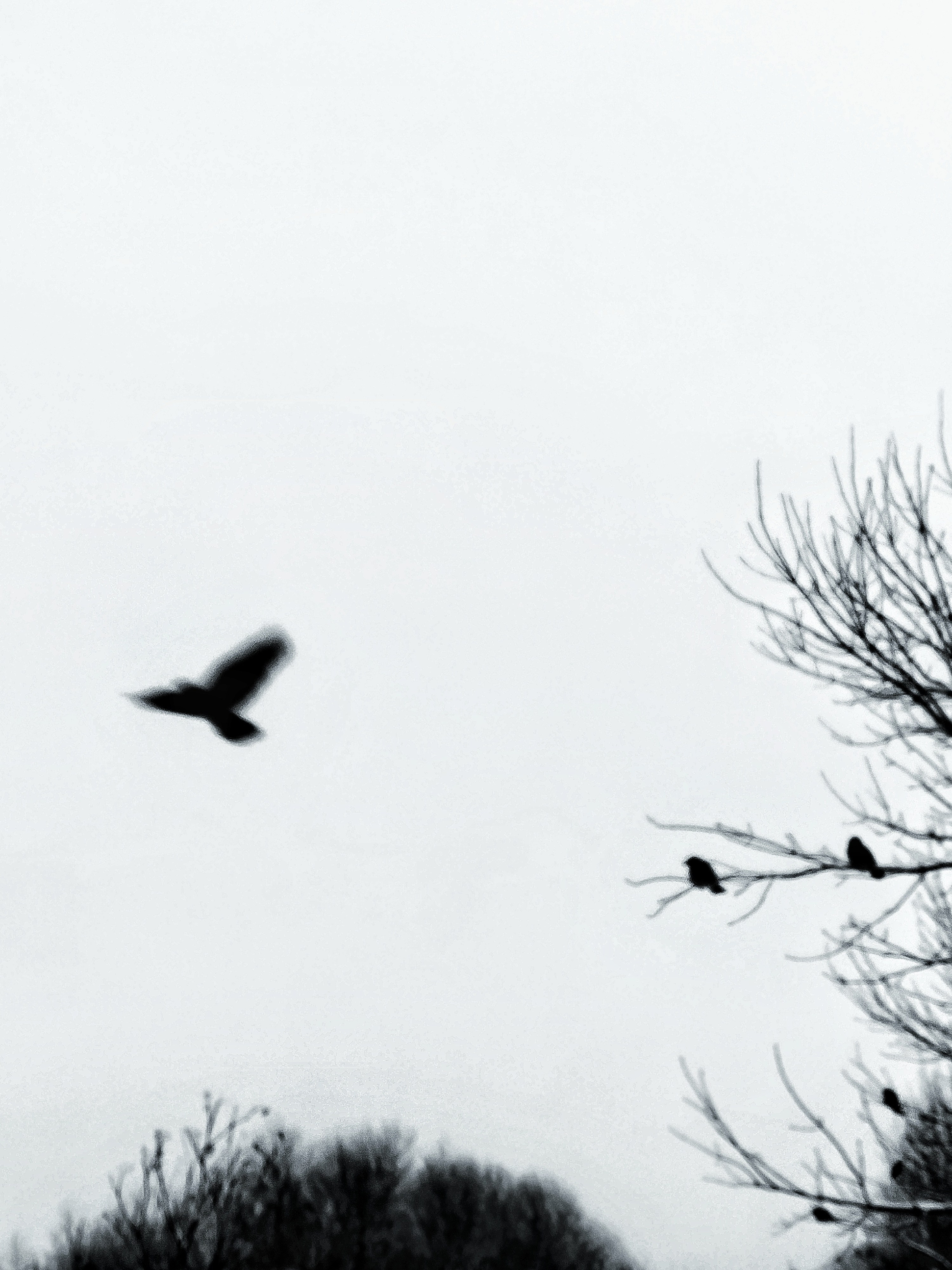 Бесшумная фотография. Tatyana Mazok творческий фотограф в Минске