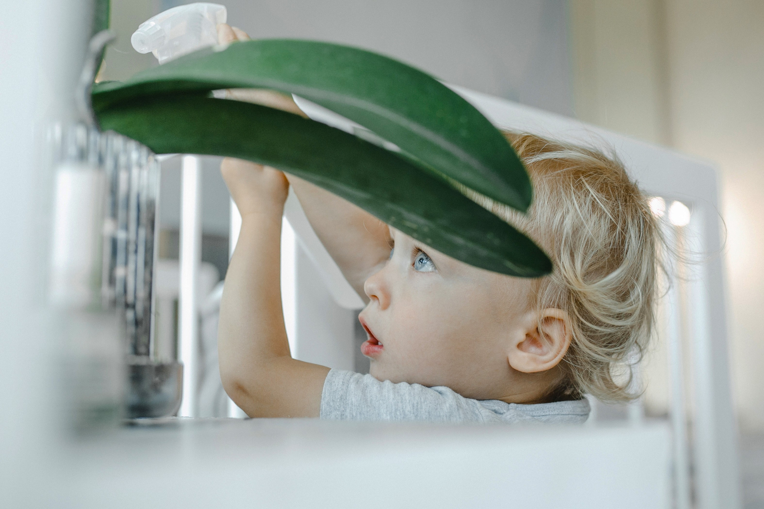 Кристина&Алексей домашняя. Фотограф в Новосибирске Ася Зверева