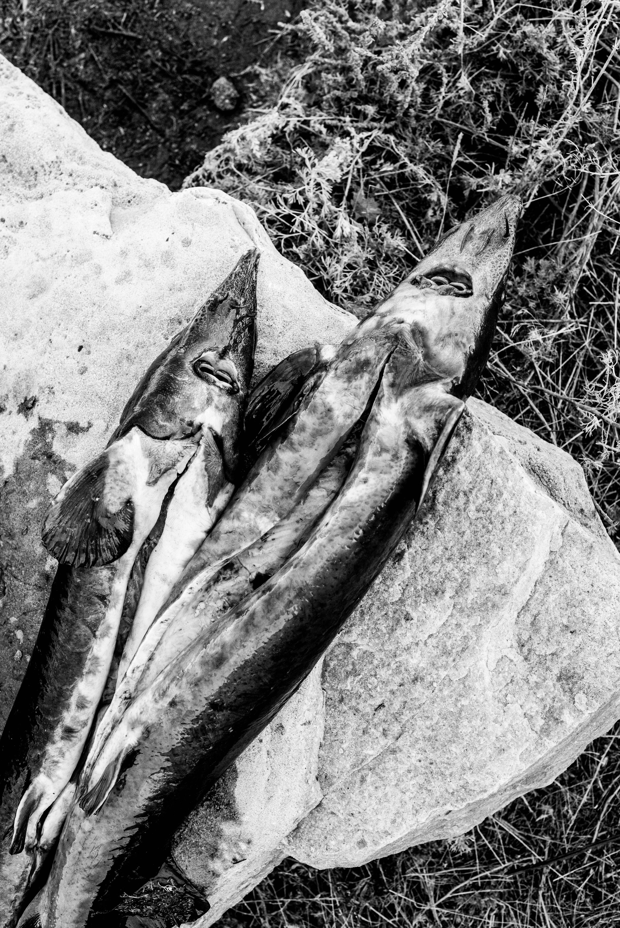 Near the Golden Horde. Travel photographer Max Muze