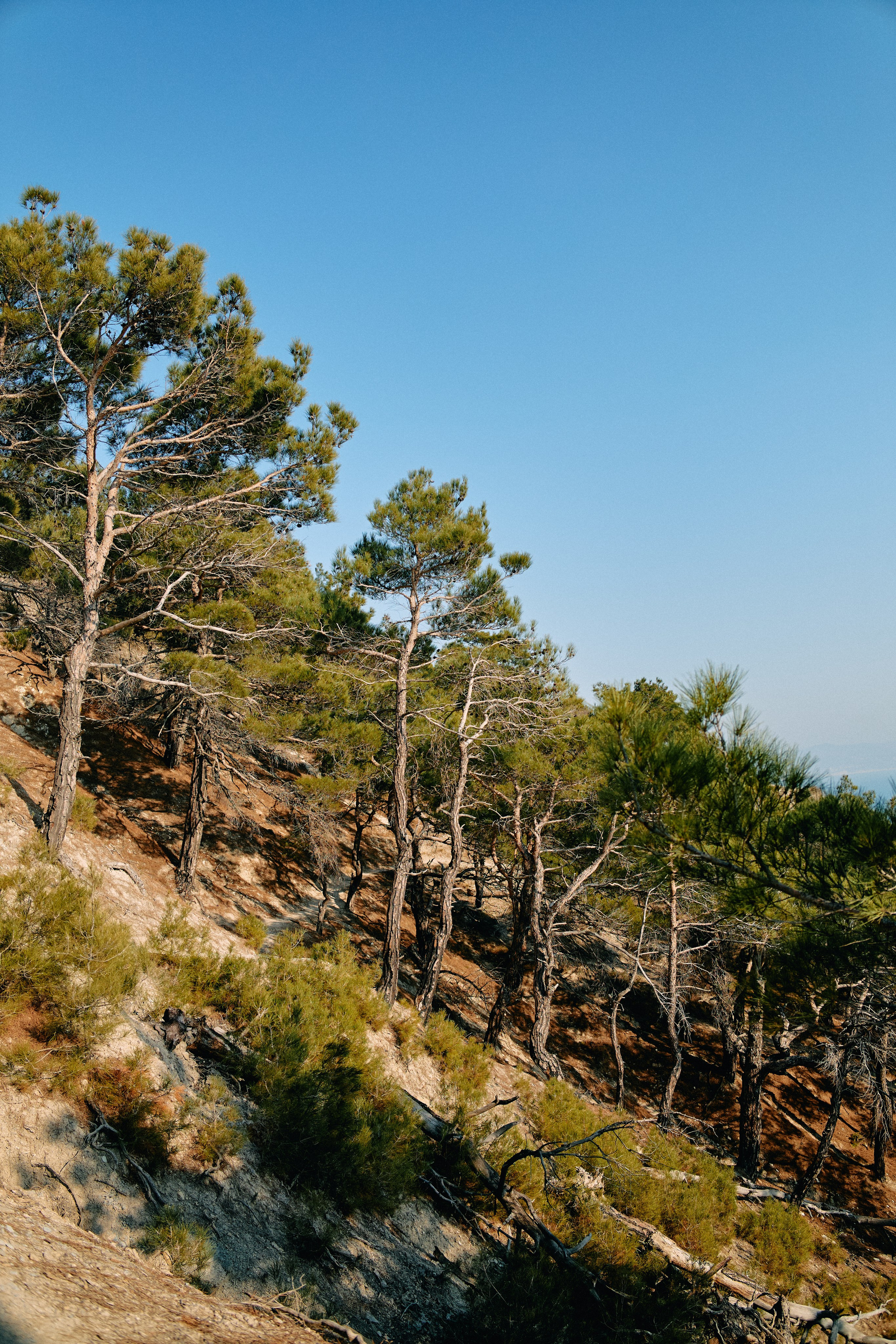 Юг России. Профессиональный Фотограф во Владимире, в Москве и в Суздале — Полина Романычева