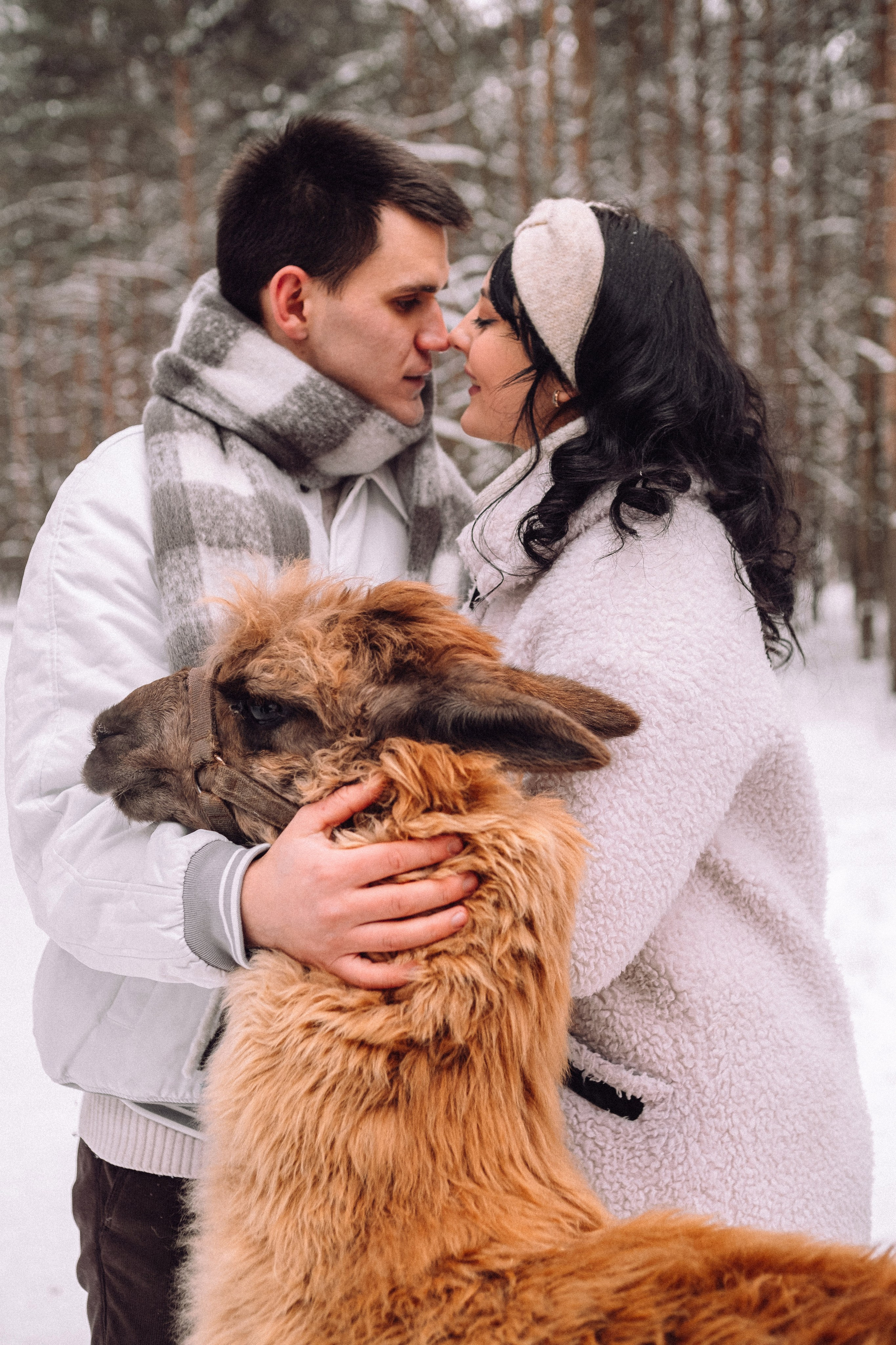 С Альпакой. Фотограф в Санкт-Петербурге Кристина Брянская