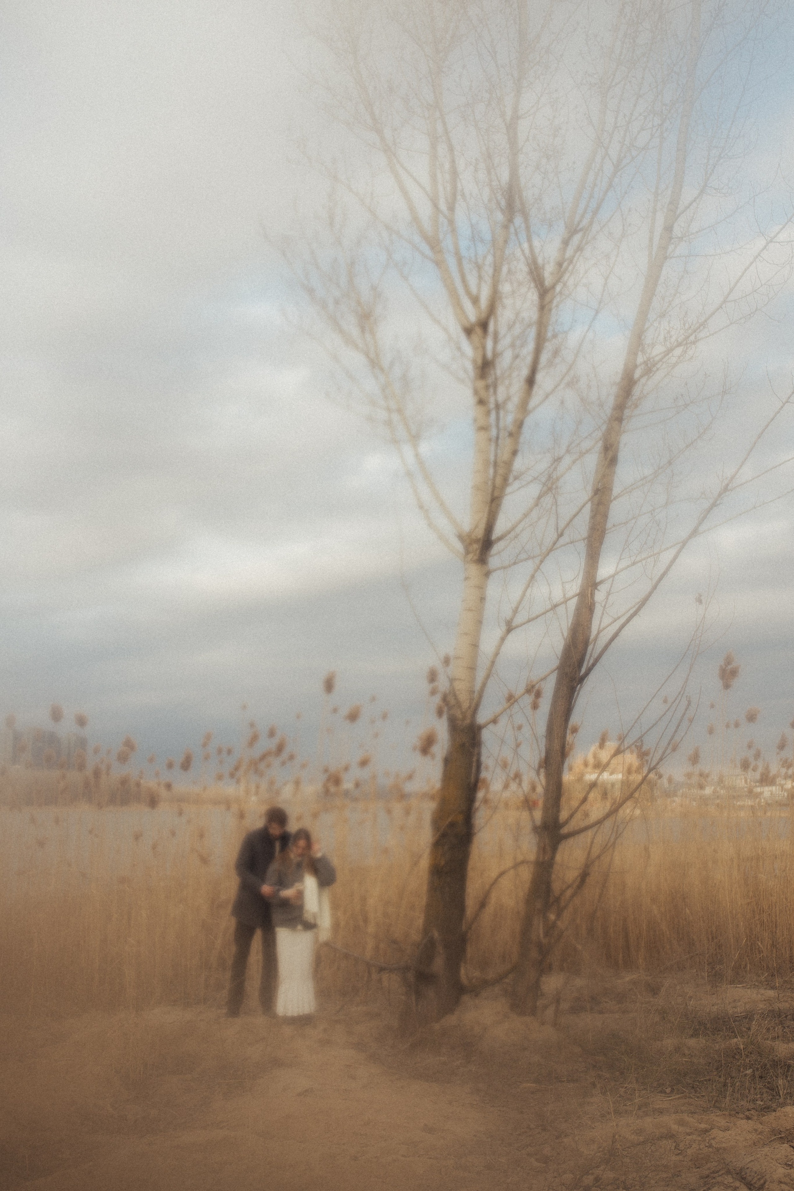 Лев и Александра. Свадебный фотограф Казань