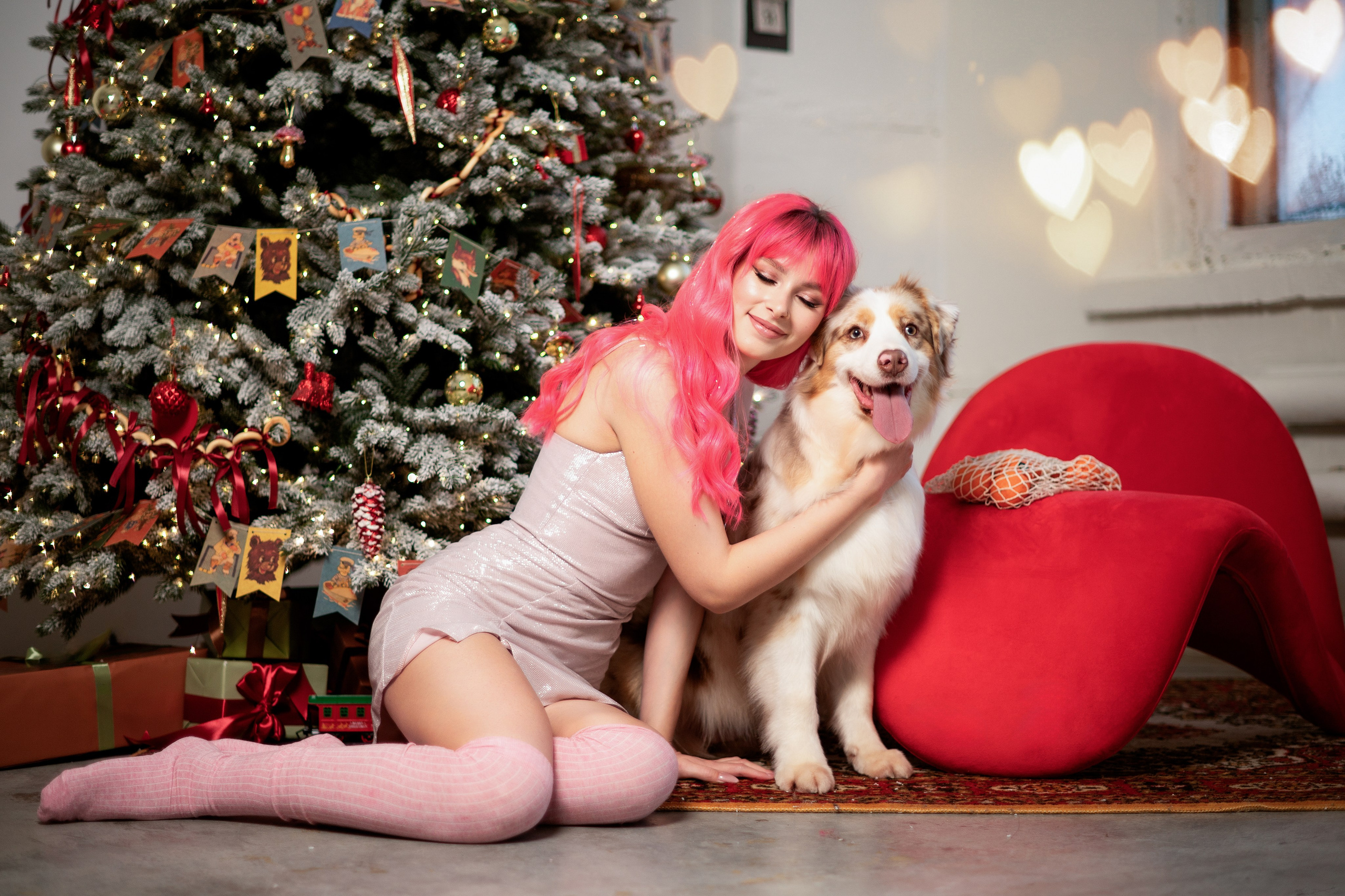 Фотодень с Австралийской овчаркой. Творческий фотограф Вологда