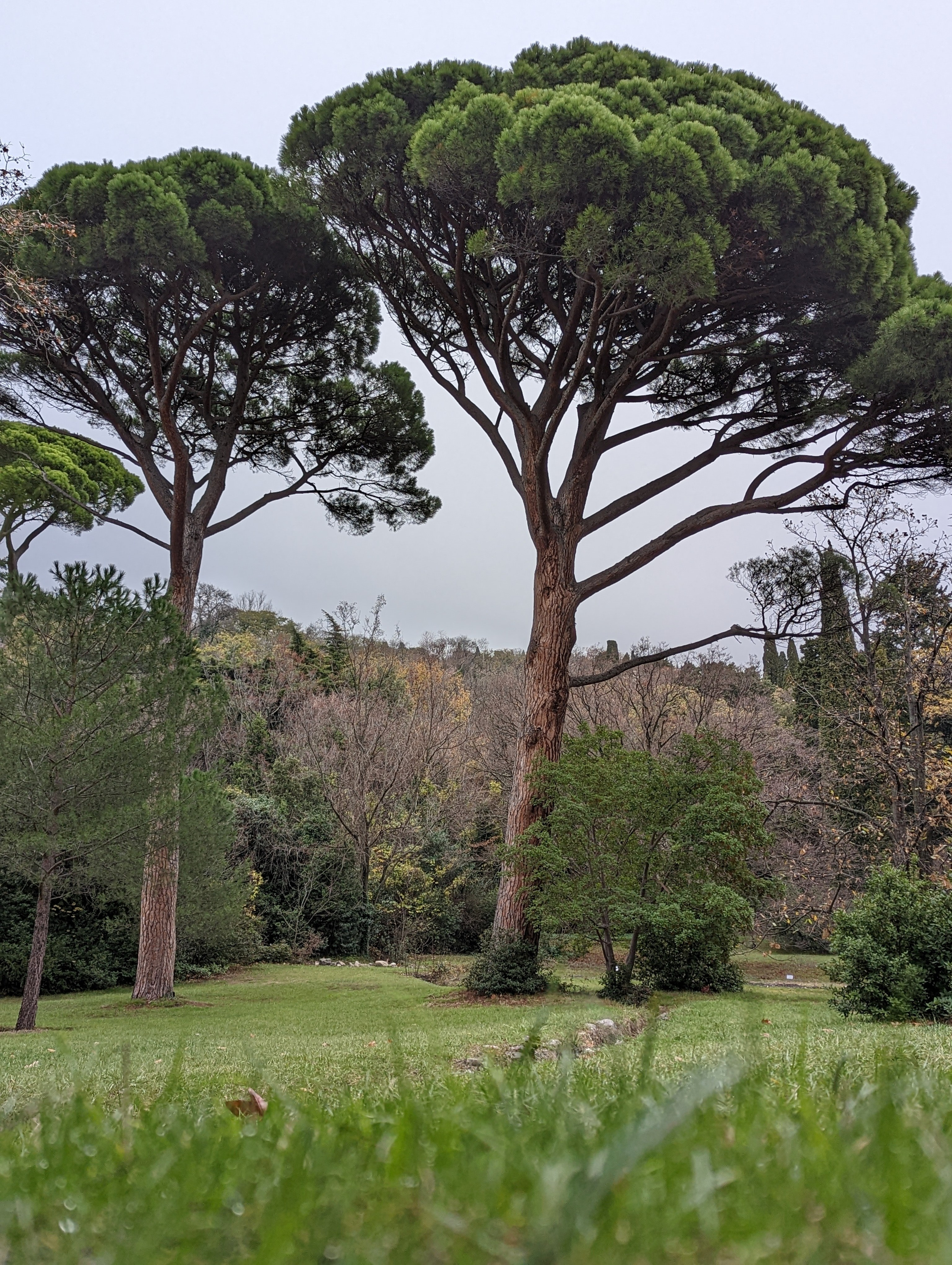 Топ локаций для фотосессии в Крыму - советы от фотографа. Профессиональная фотосъемка в Крыму. Натуральные эмоции и живые кадры. Забронируйте дату прямо сейчас!