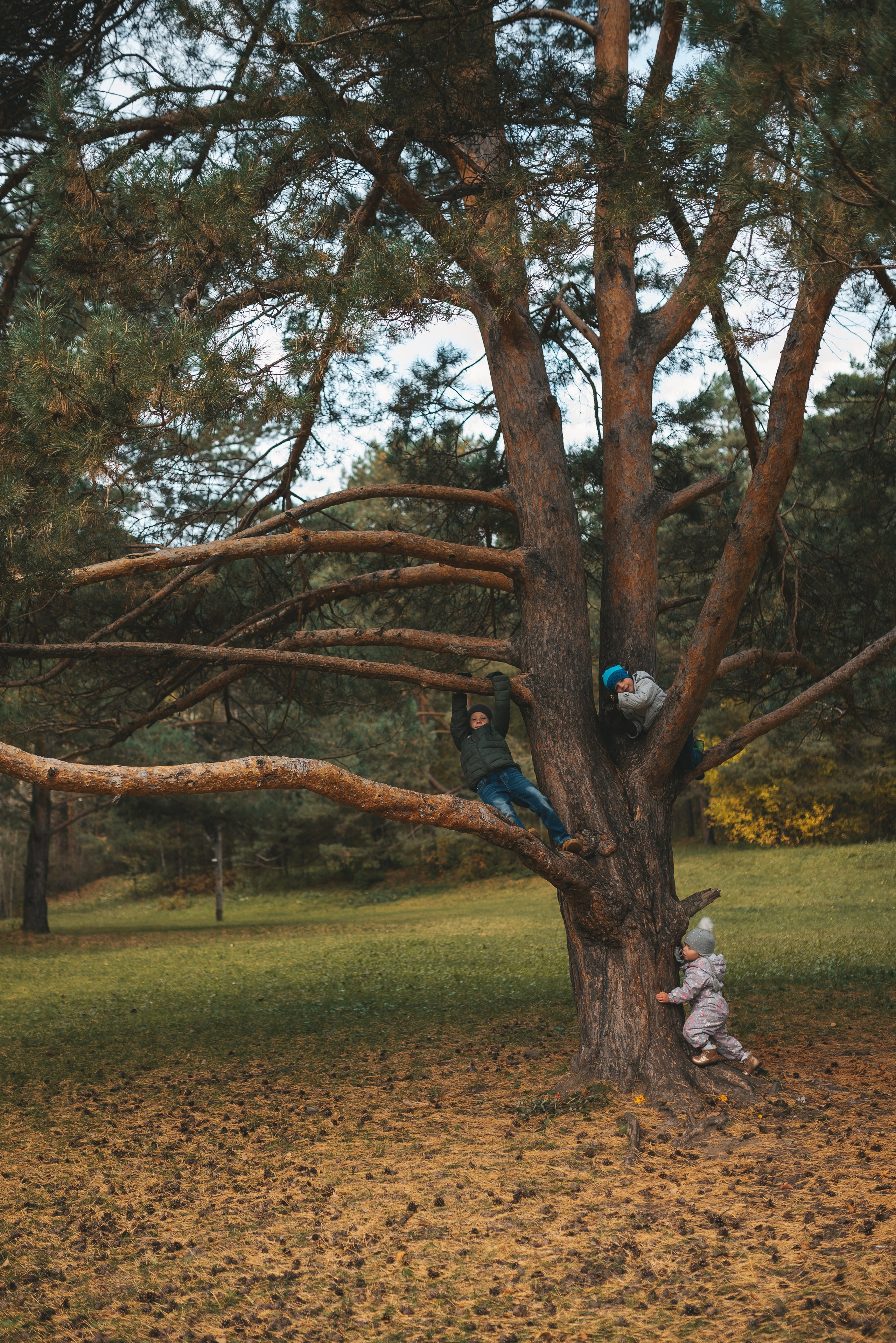 Фотосессия для Иры. Семейная фотосессия в Новосибирске от фотографа Ольги Коваль