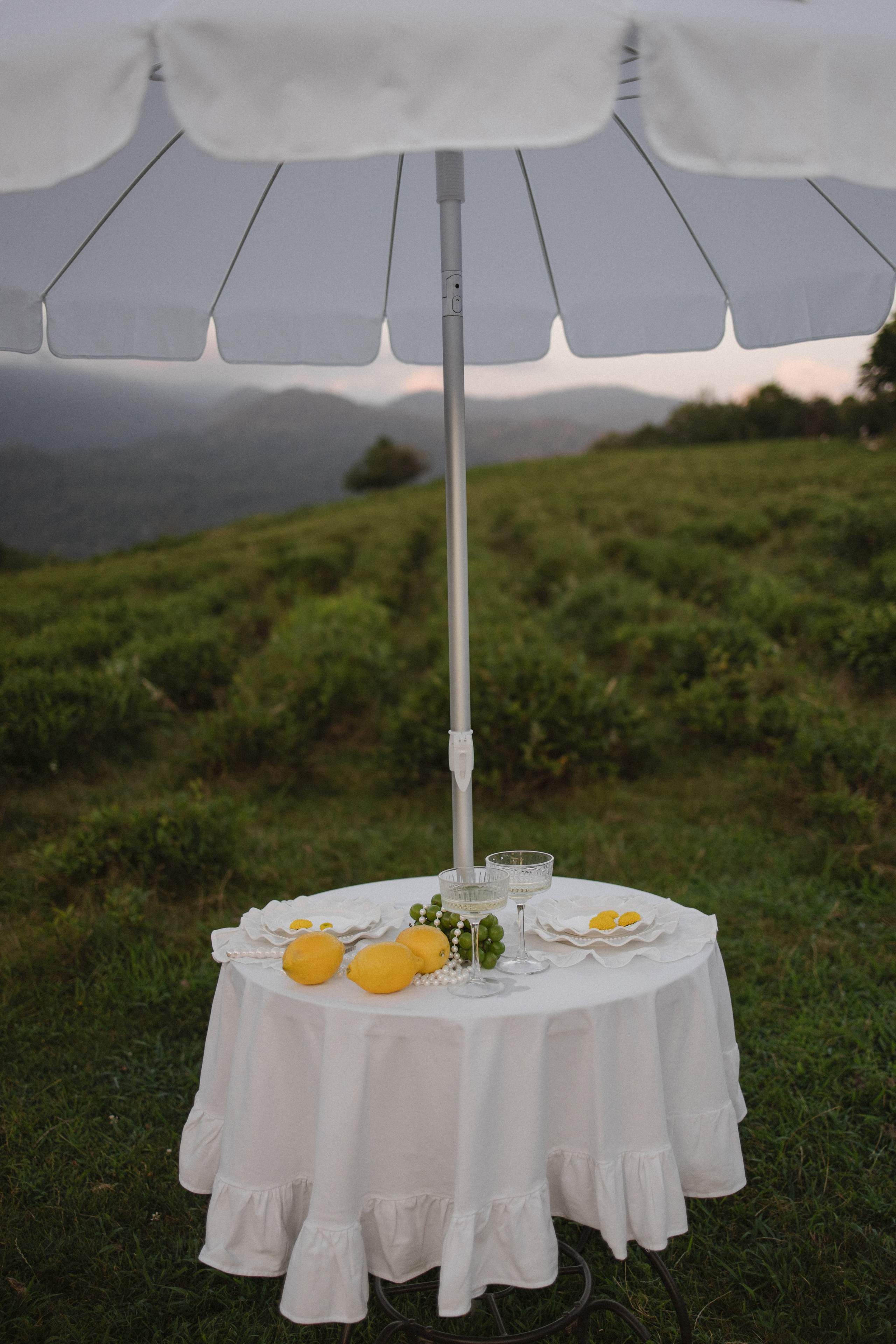 Чай с лимоном. Свадебный, репортажный и портретный фотограф Сочи, Краснодар. Александра Зайцева