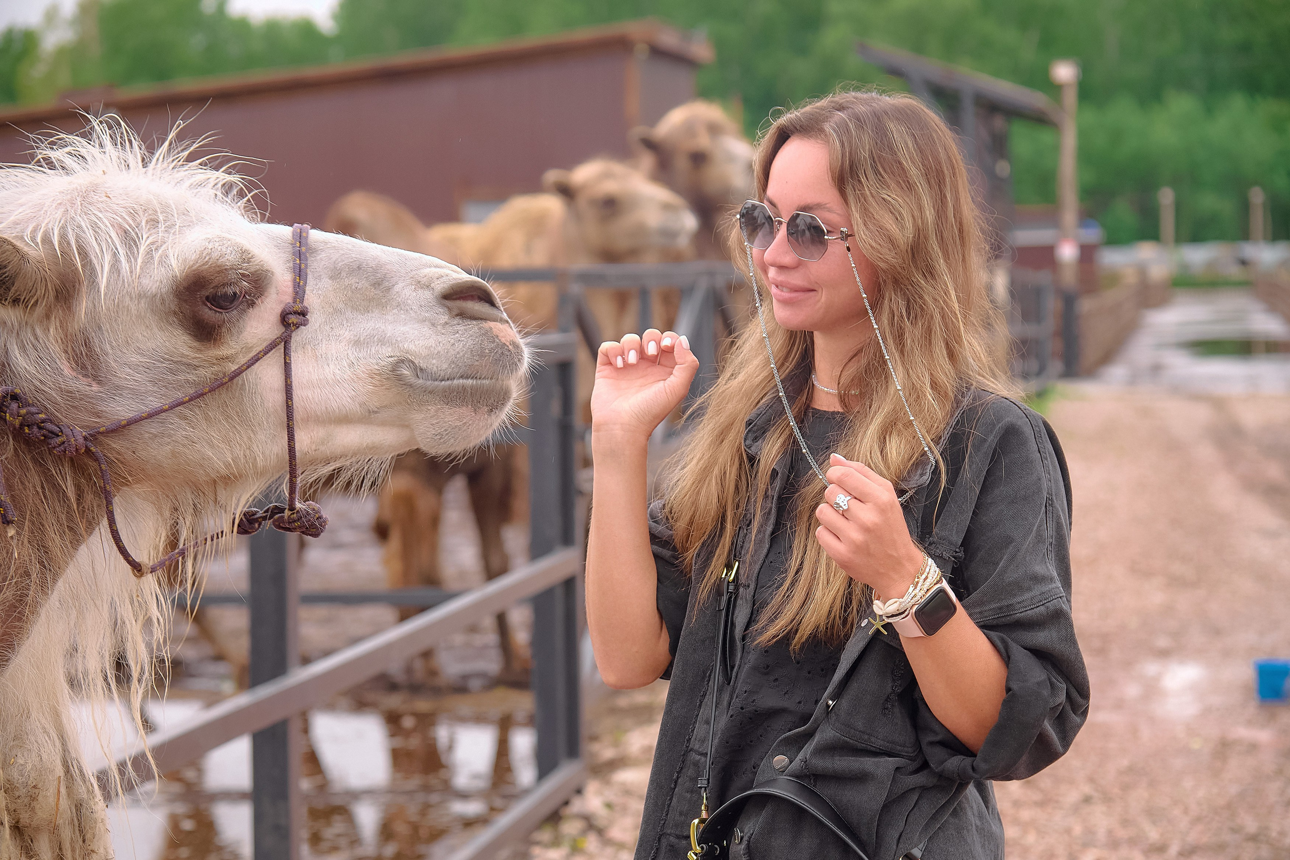 Ранчо «Шарье». Сеть магазинов «Калина-Малина». Фотограф Яковлев Роман — Красноярск