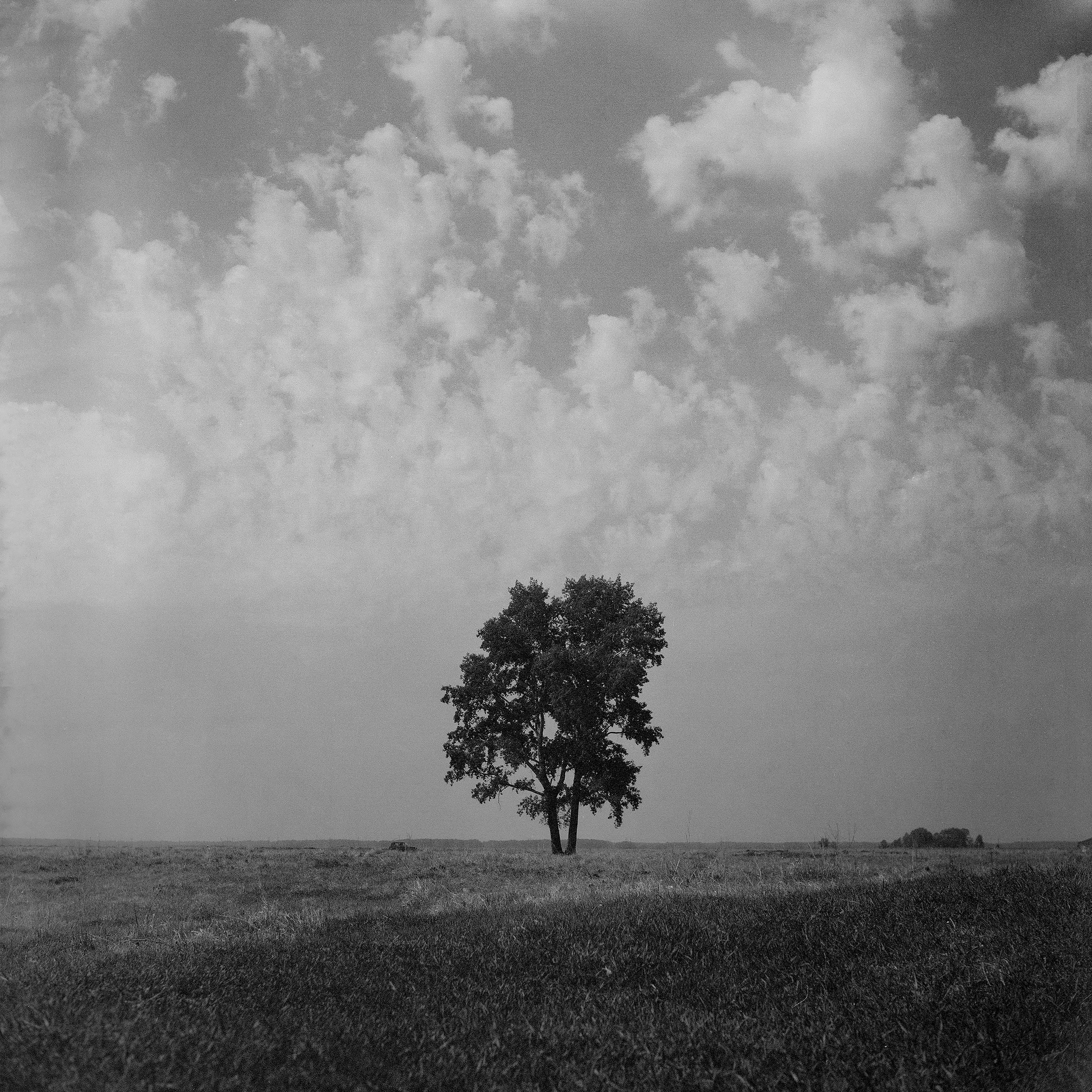 Street-photo города Новосибирск. Портретный и репортажный фотограф. Мыльников Илья