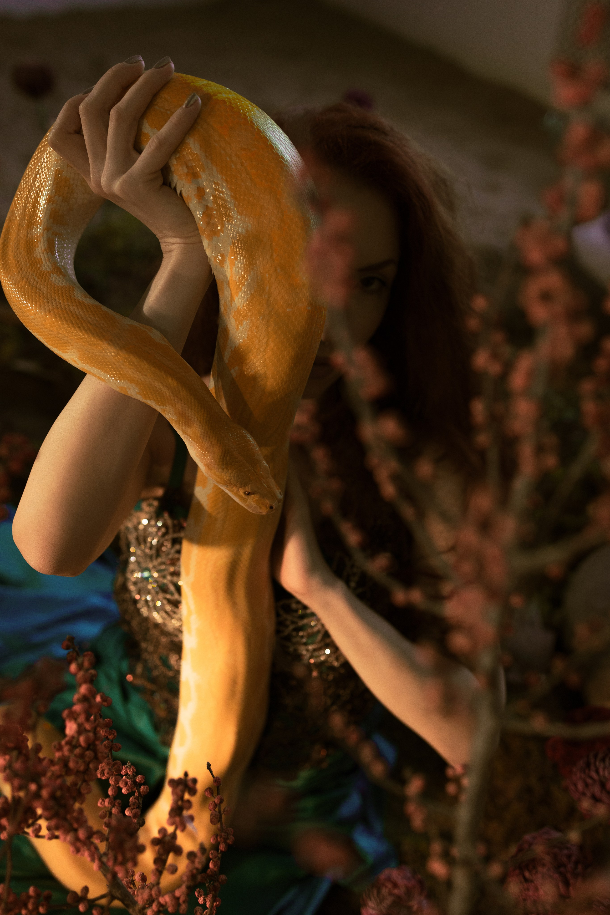 Спящая красавица