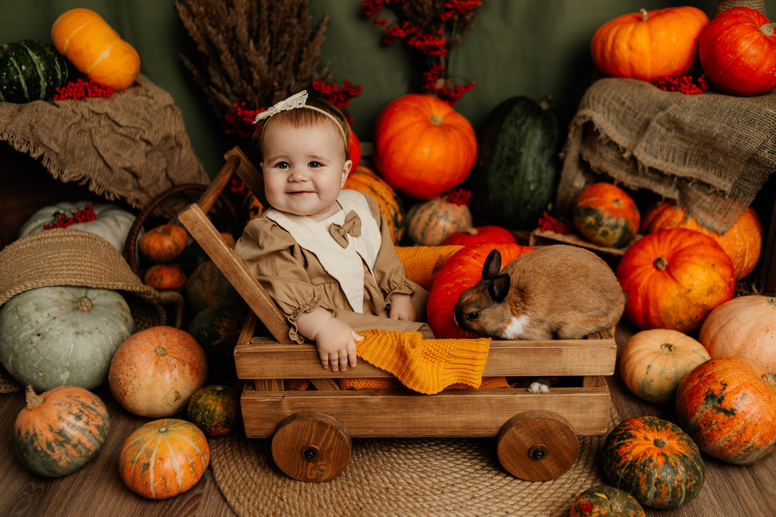 Фотопроекты. Фотограф новорождённых семейный фотограф Томск Елена Каплина