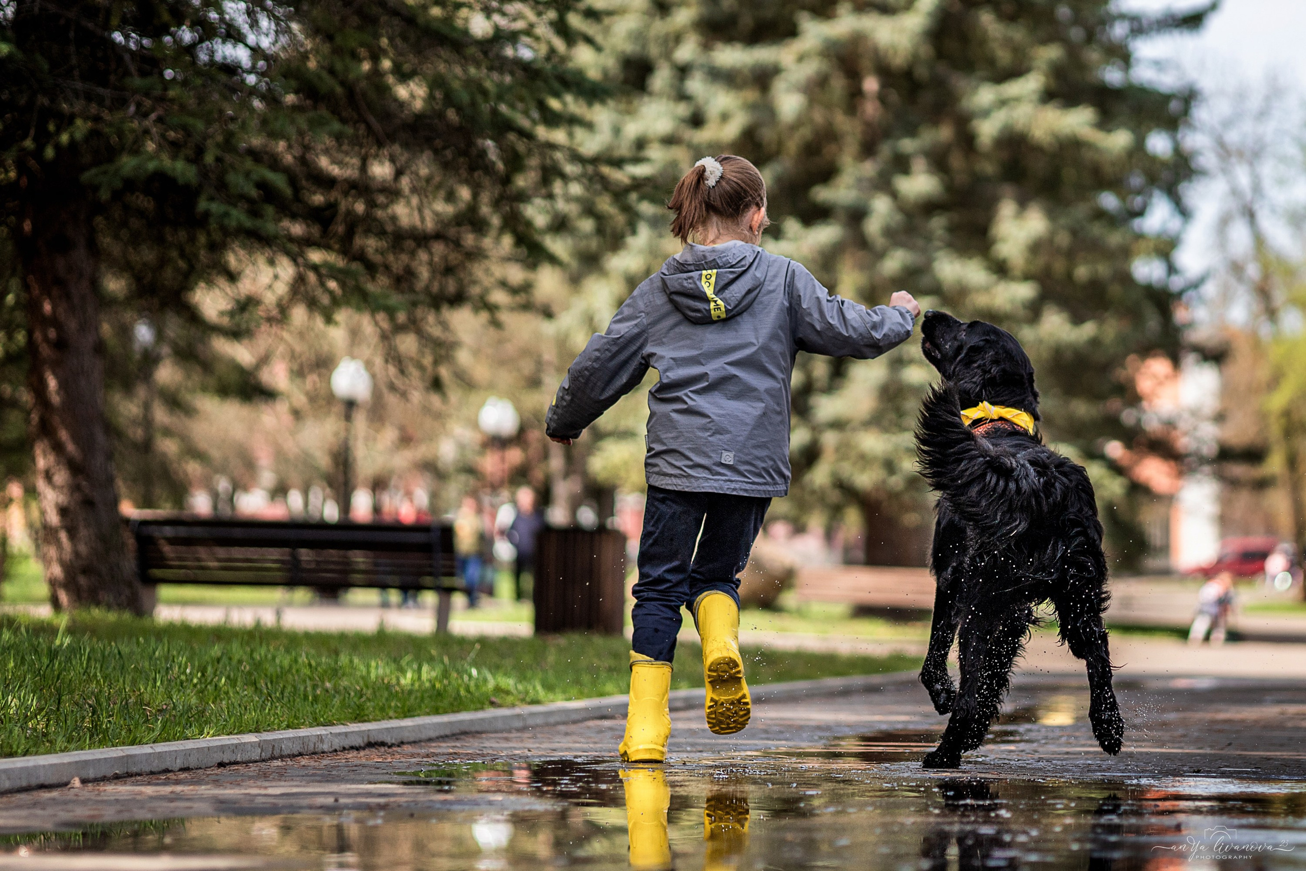 Солнышки. Фотограф анималист Аня Ливанова | Рыбинск