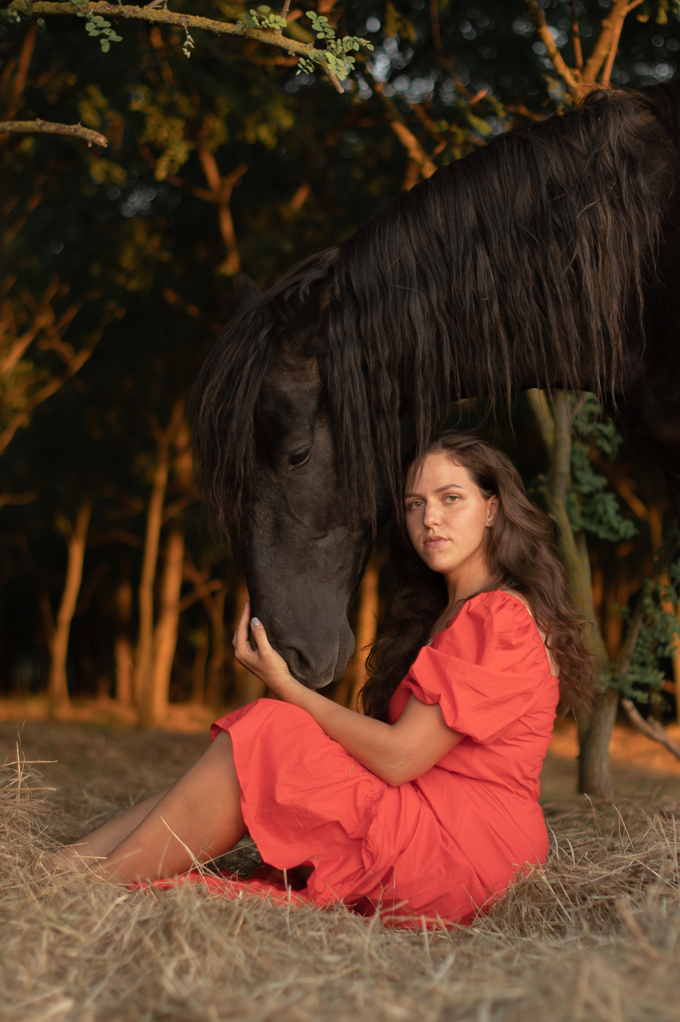 Табун в Роще. Катерина Дрюкова фотограф/видеограф