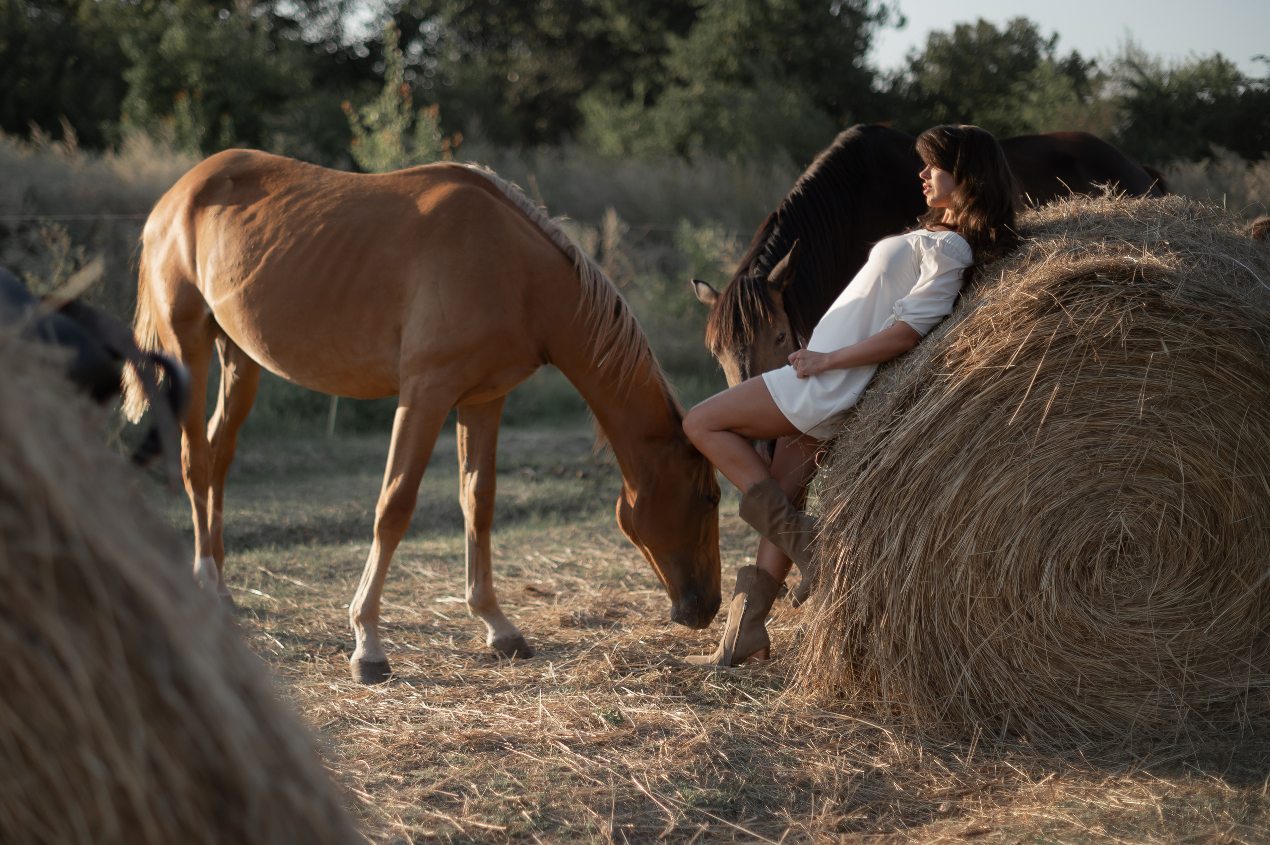 Индивидуальные фотосессии. Катерина Дрюкова фотограф/видеограф