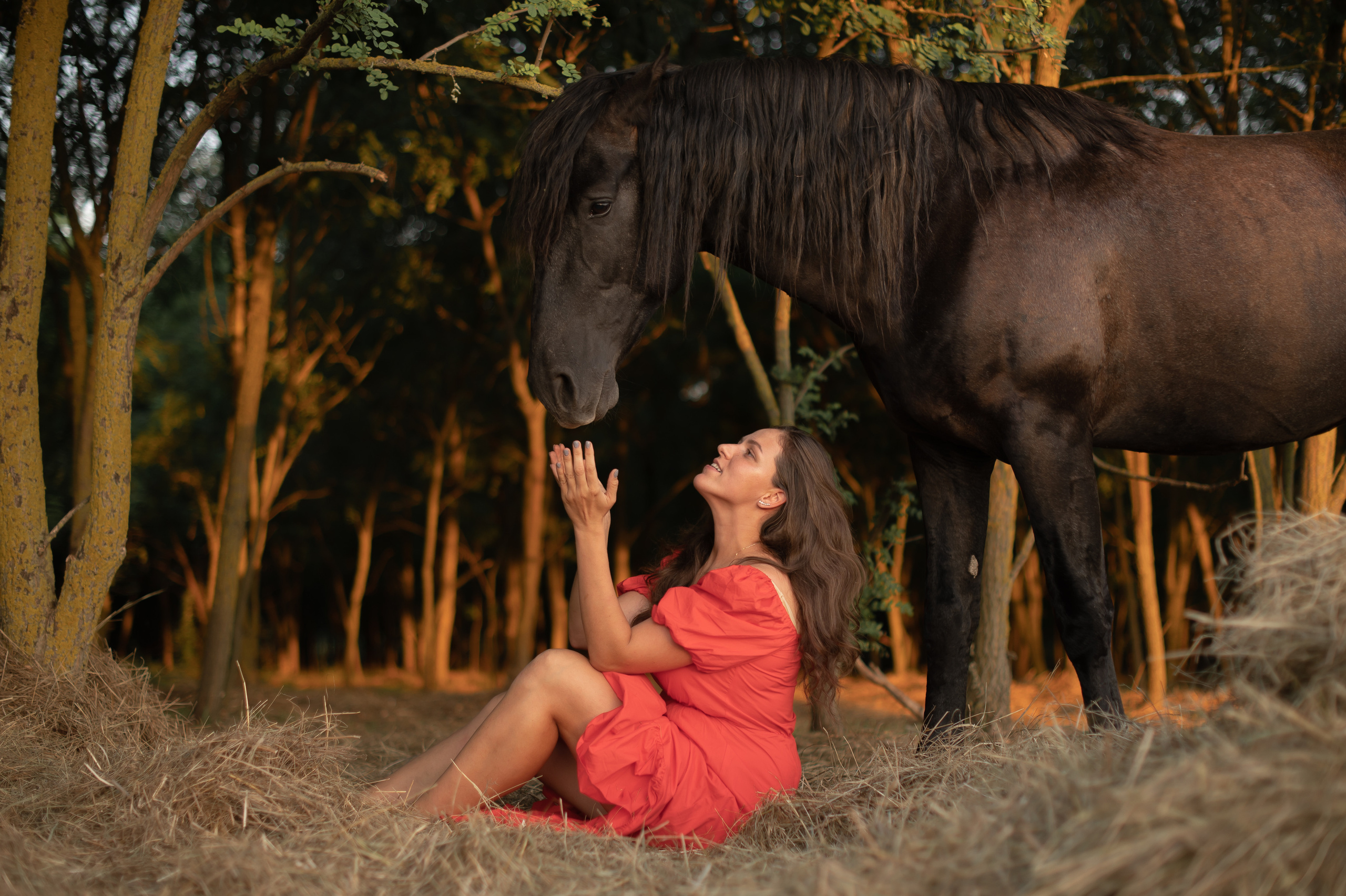 Табун в Роще. Катерина Дрюкова фотограф/видеограф