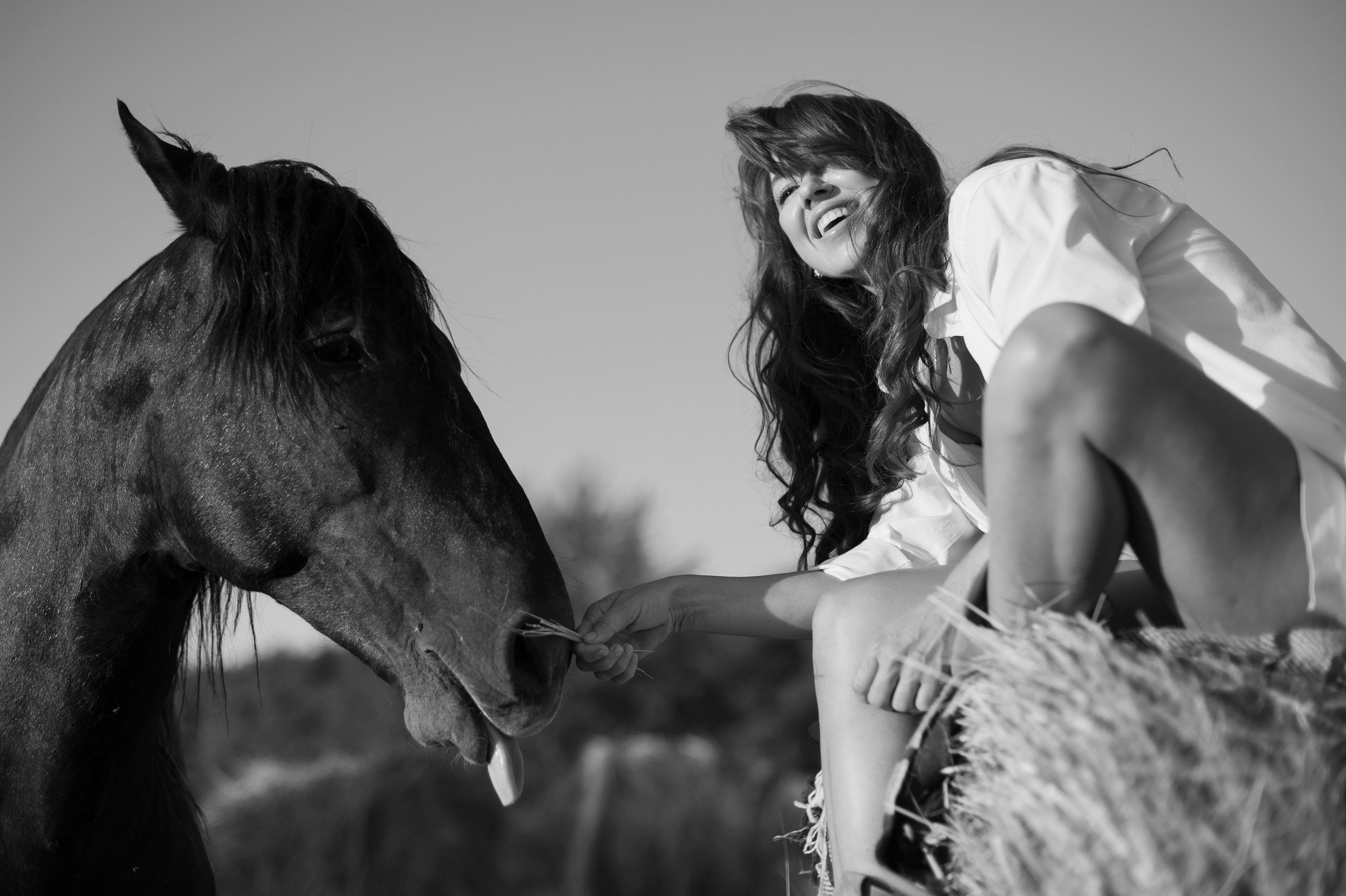 Табун в Роще. Катерина Дрюкова фотограф/видеограф