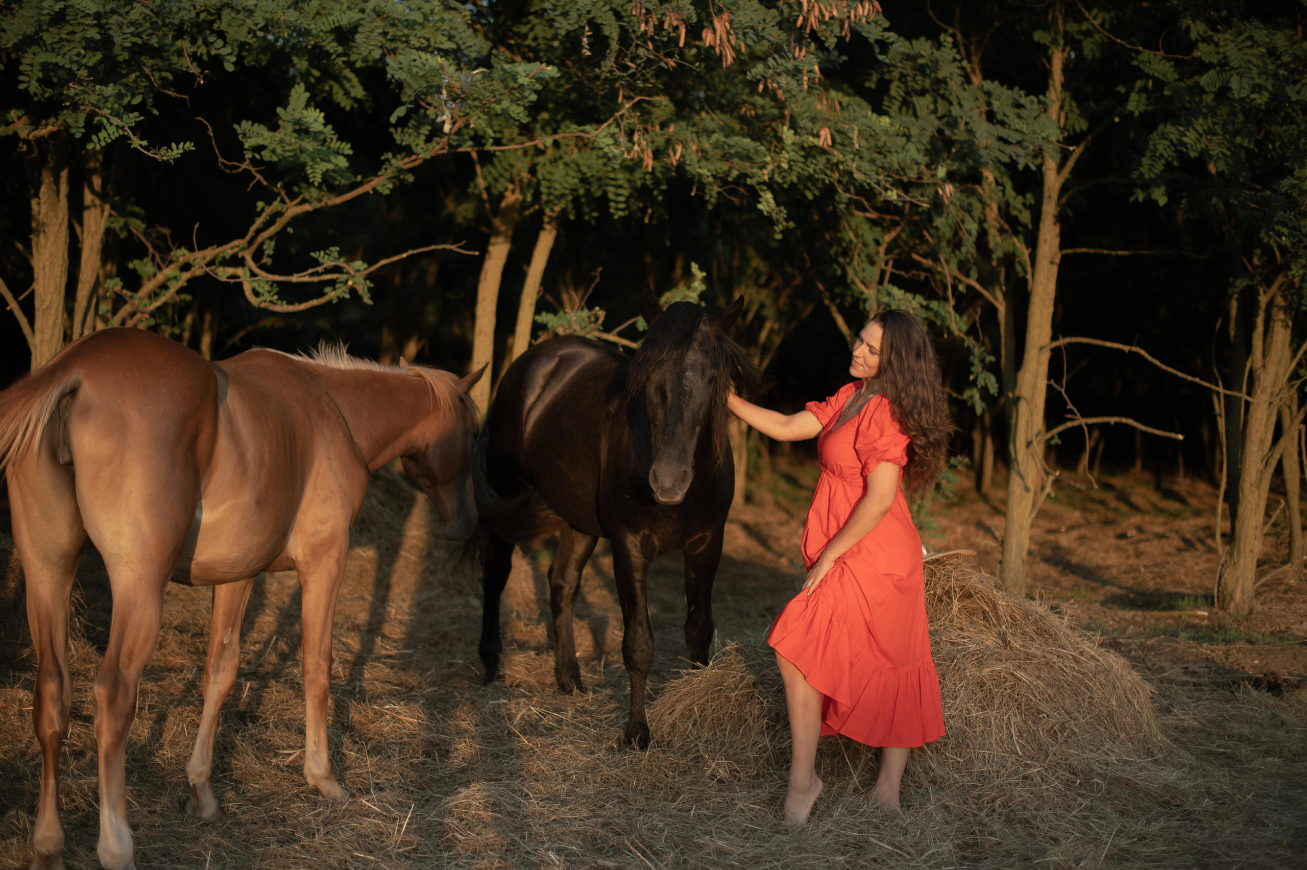Табун в Роще. Катерина Дрюкова фотограф/видеограф
