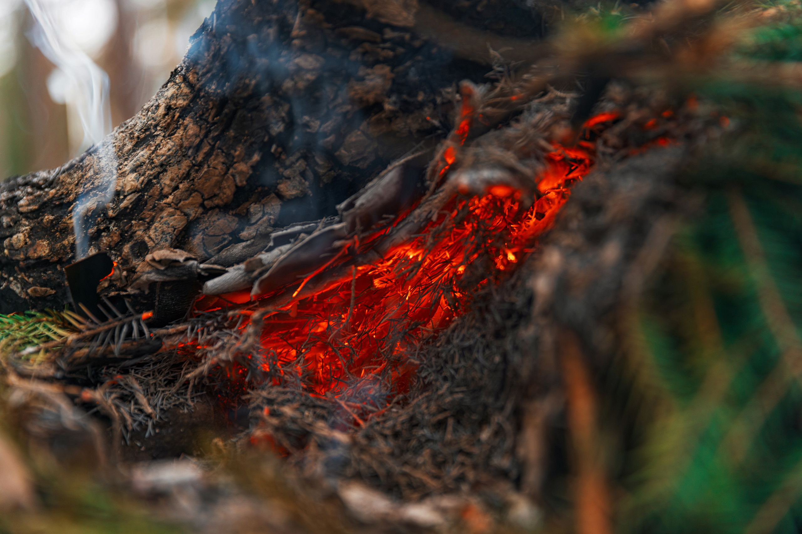 Рекламная фотосъемка автодомов в Санкт-Петербурге | Фотограф для бизнеса