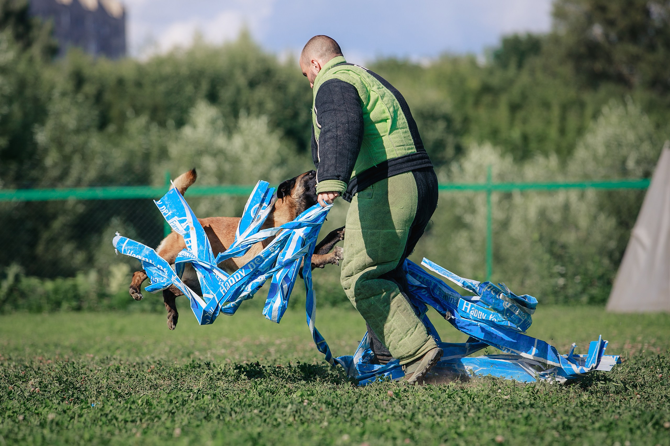 Мондьоринг М1, М2, М3, Вологда. Фотограф-анималист Mary Mart — Москва, Питер