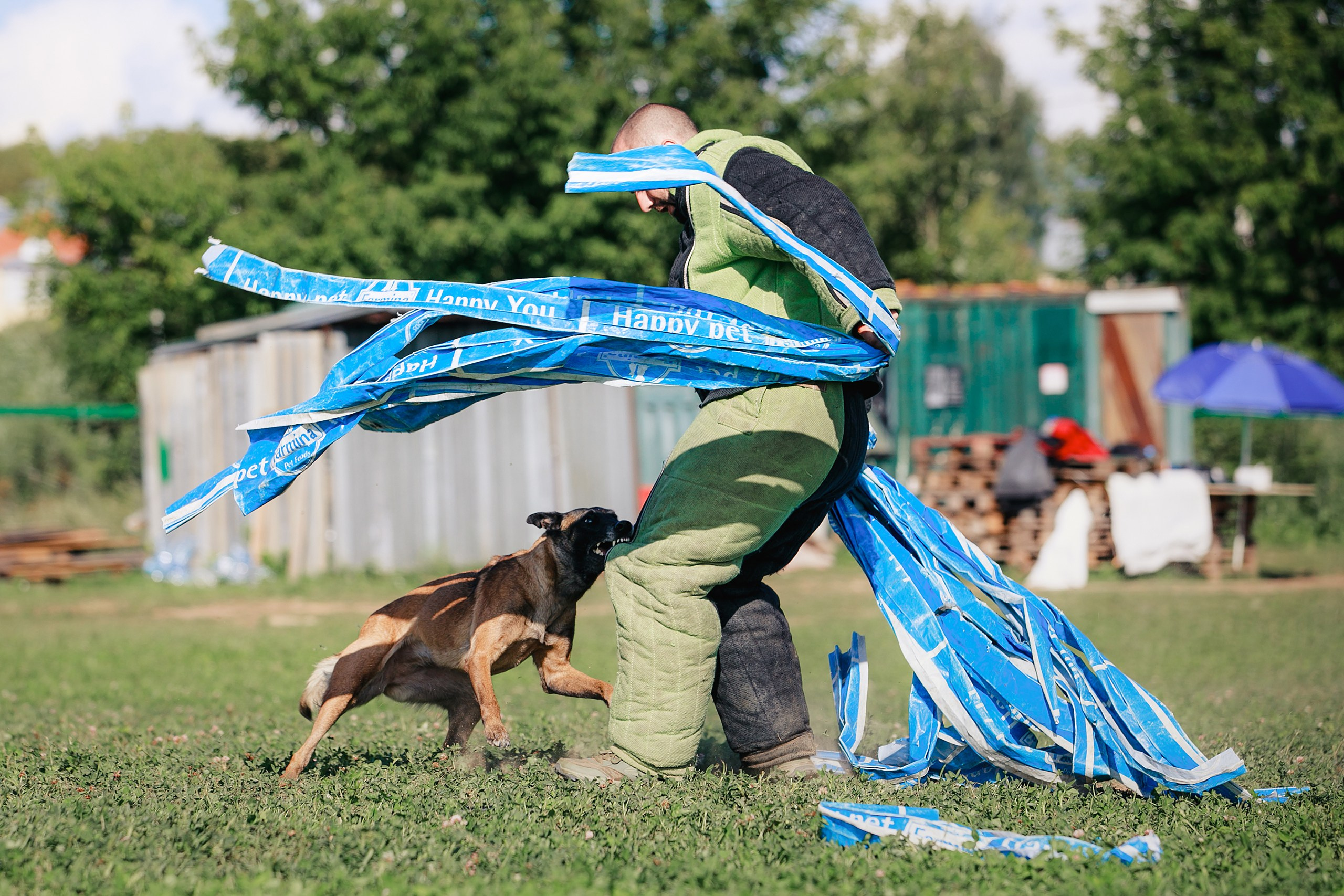 Мондьоринг М1, М2, М3, Вологда. Фотограф-анималист Mary Mart — Москва, Питер