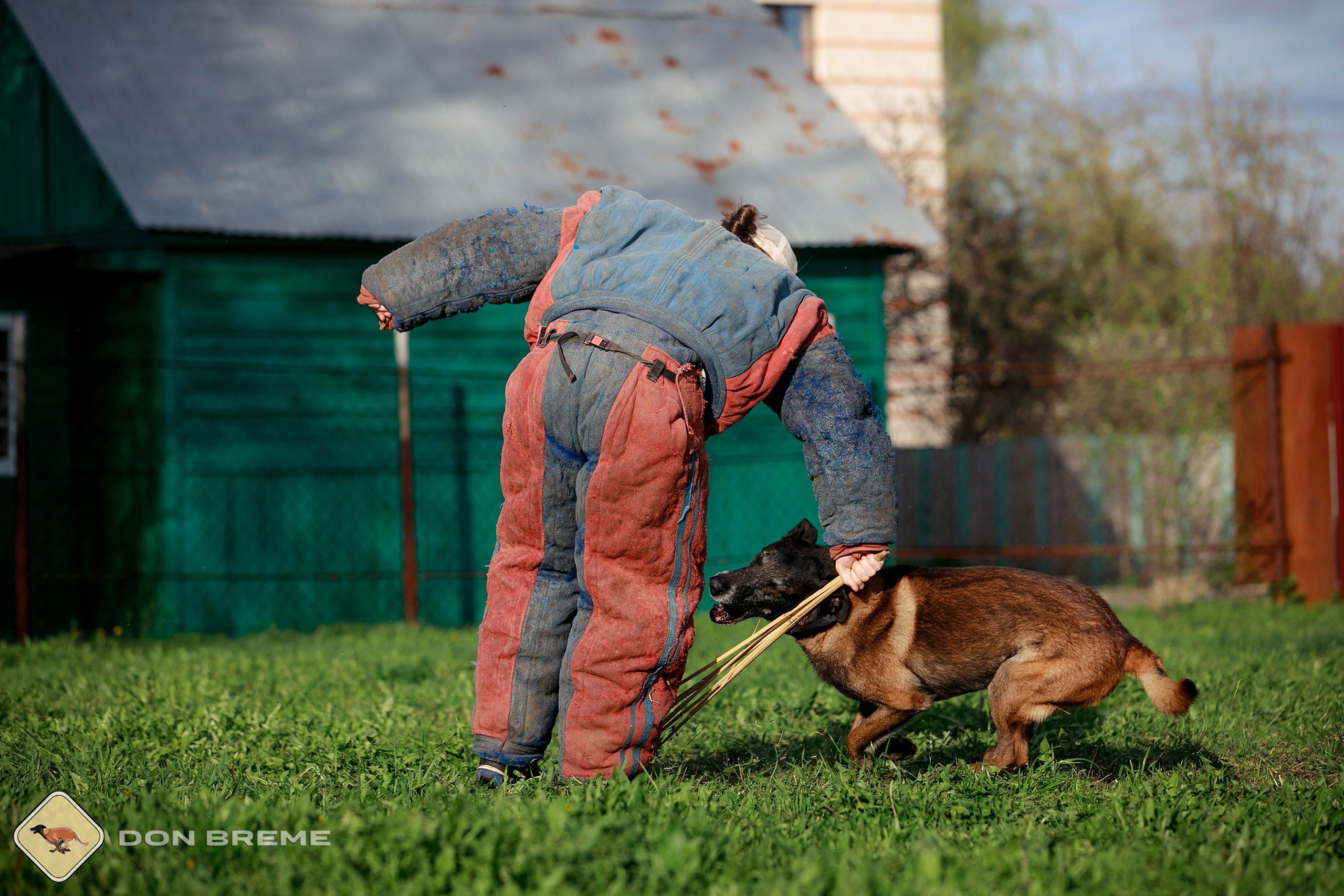 Семинар для фигурантов, день 2. Фотограф-анималист Mary Mart — Москва, Питер