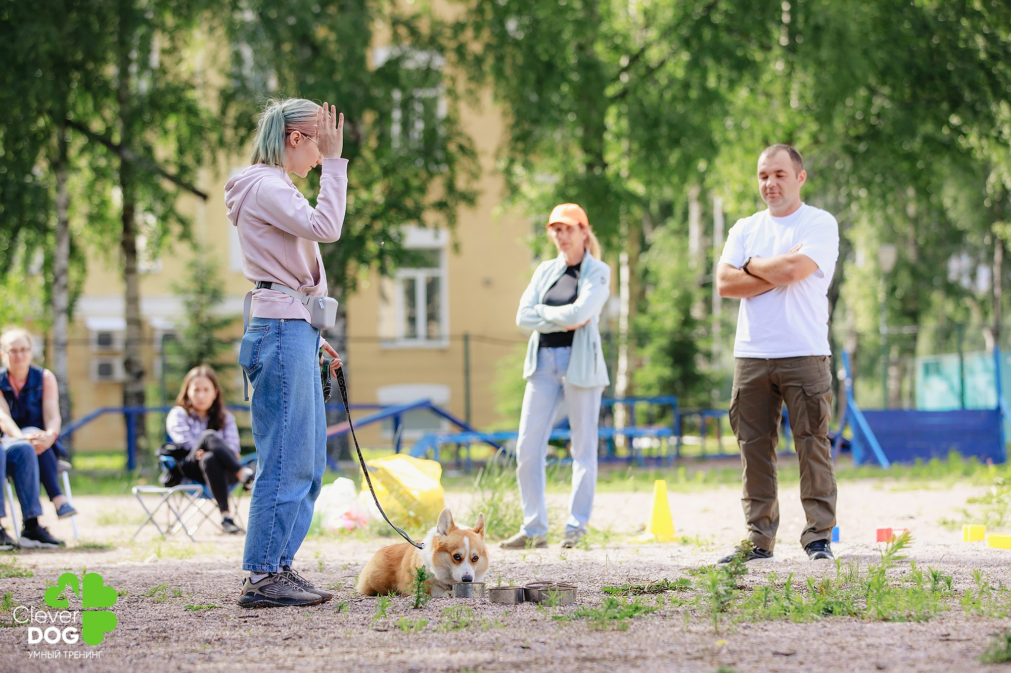 Семинар по поиску запаха с Иваном Ломовым, организатор CleverDog, СПб. Фотограф-анималист Mary Mart — Москва, Питер