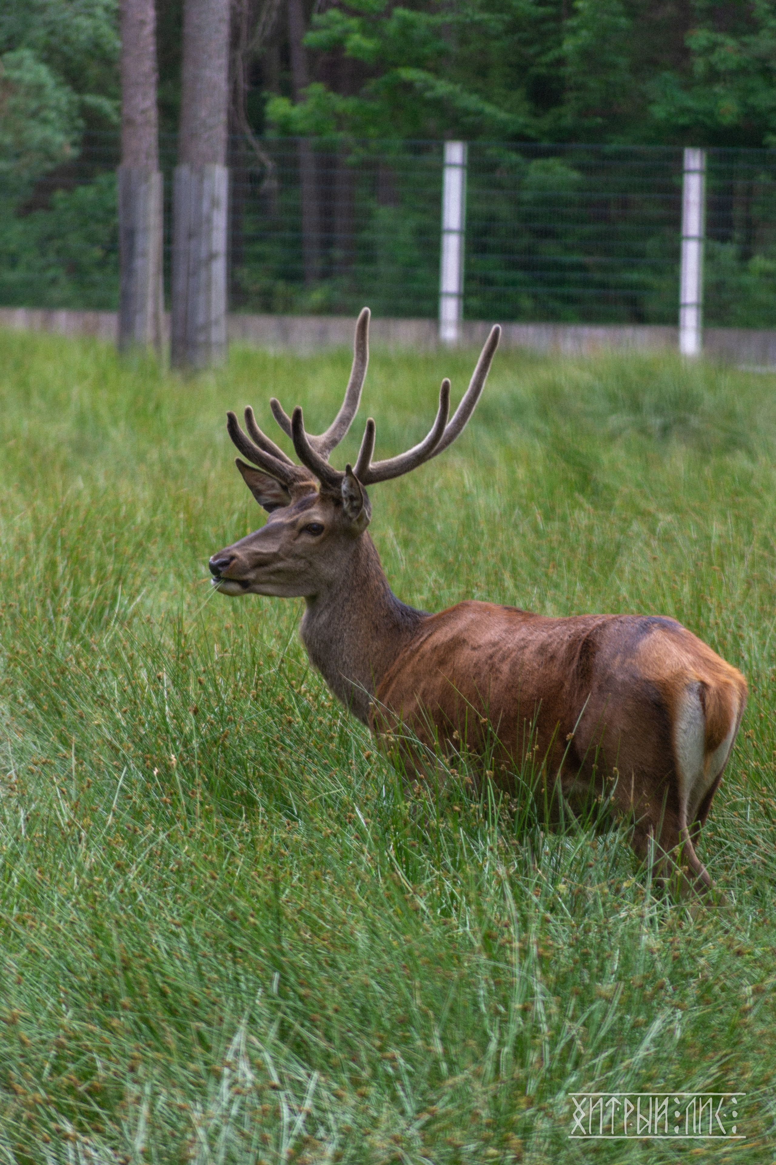 Беларусь. Фотограф-путешественник Самойлов Максим «Sly Fox»